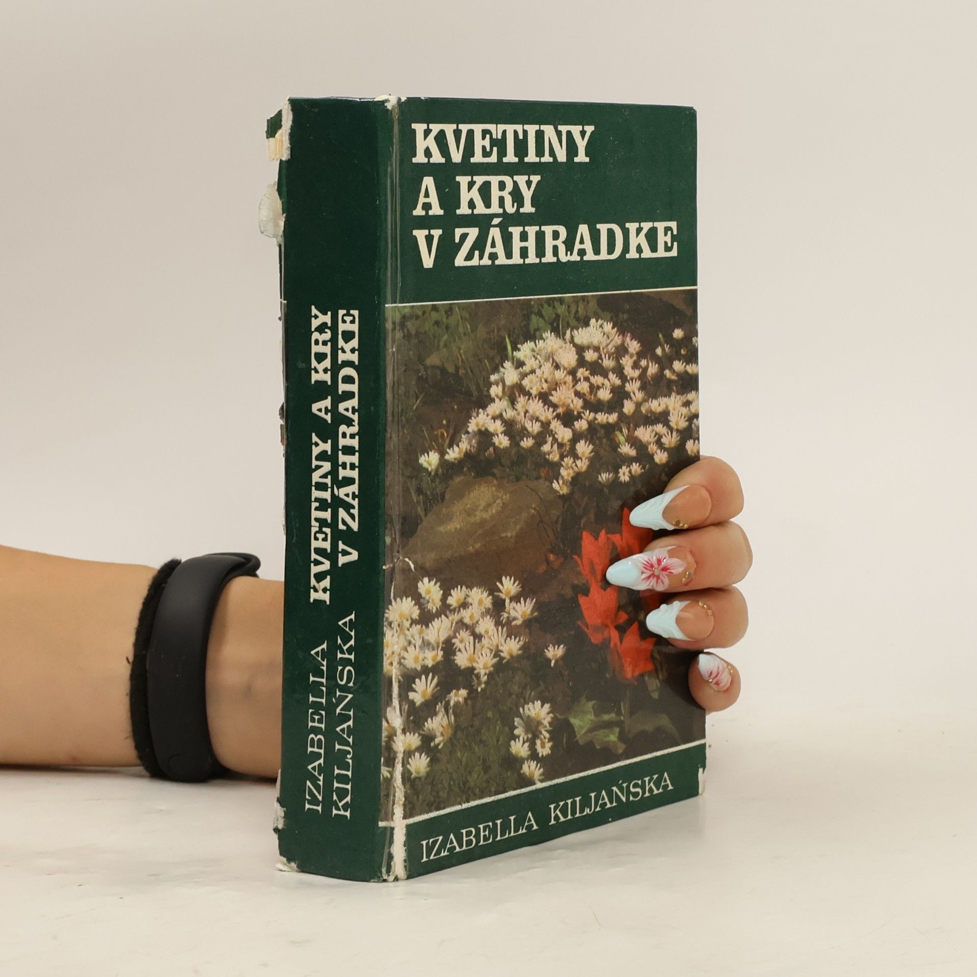 Izabella Kiljanská Kvetiny a kry v záhradke