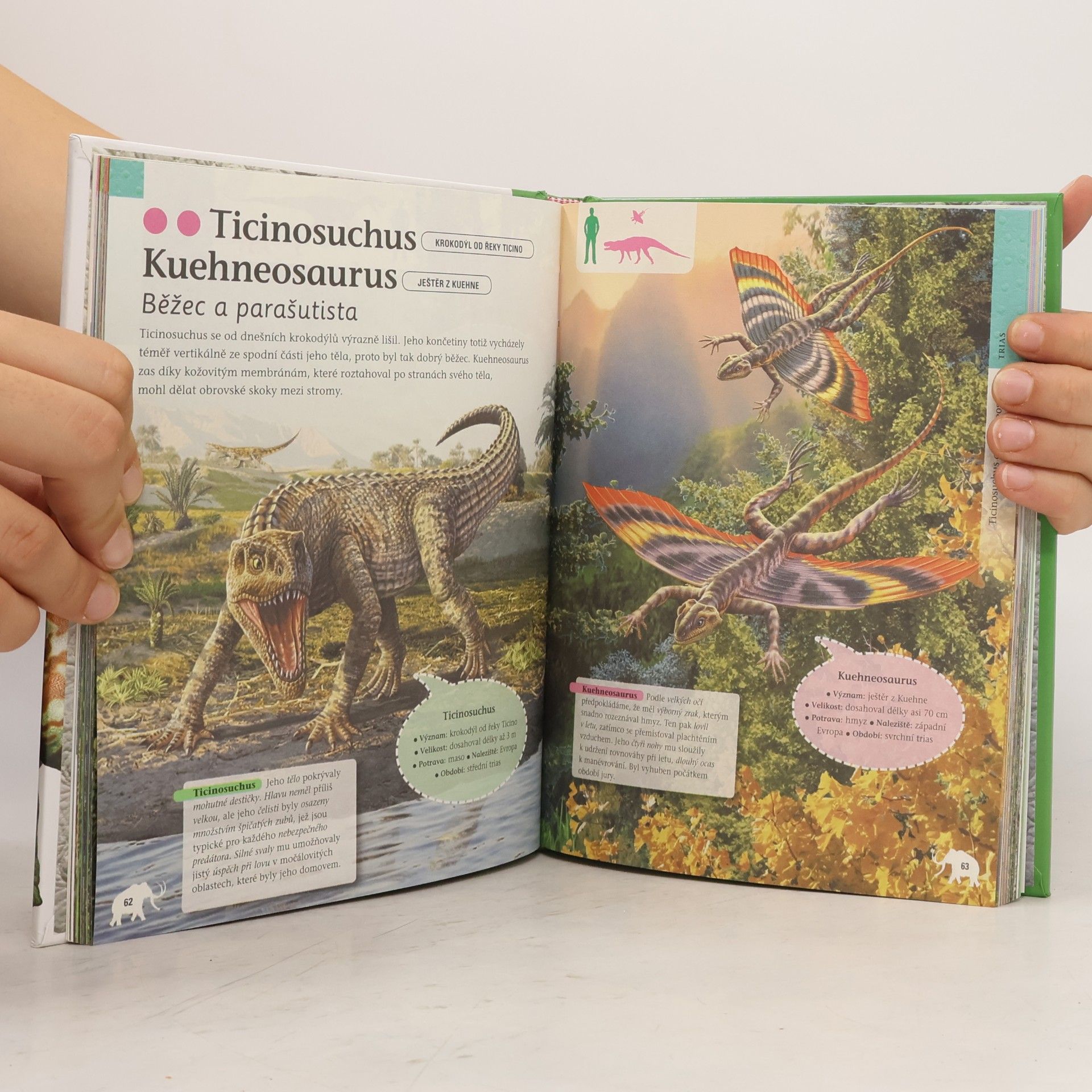 Lidia di Blasi Dinosauři a jiná prehistorická zvířata