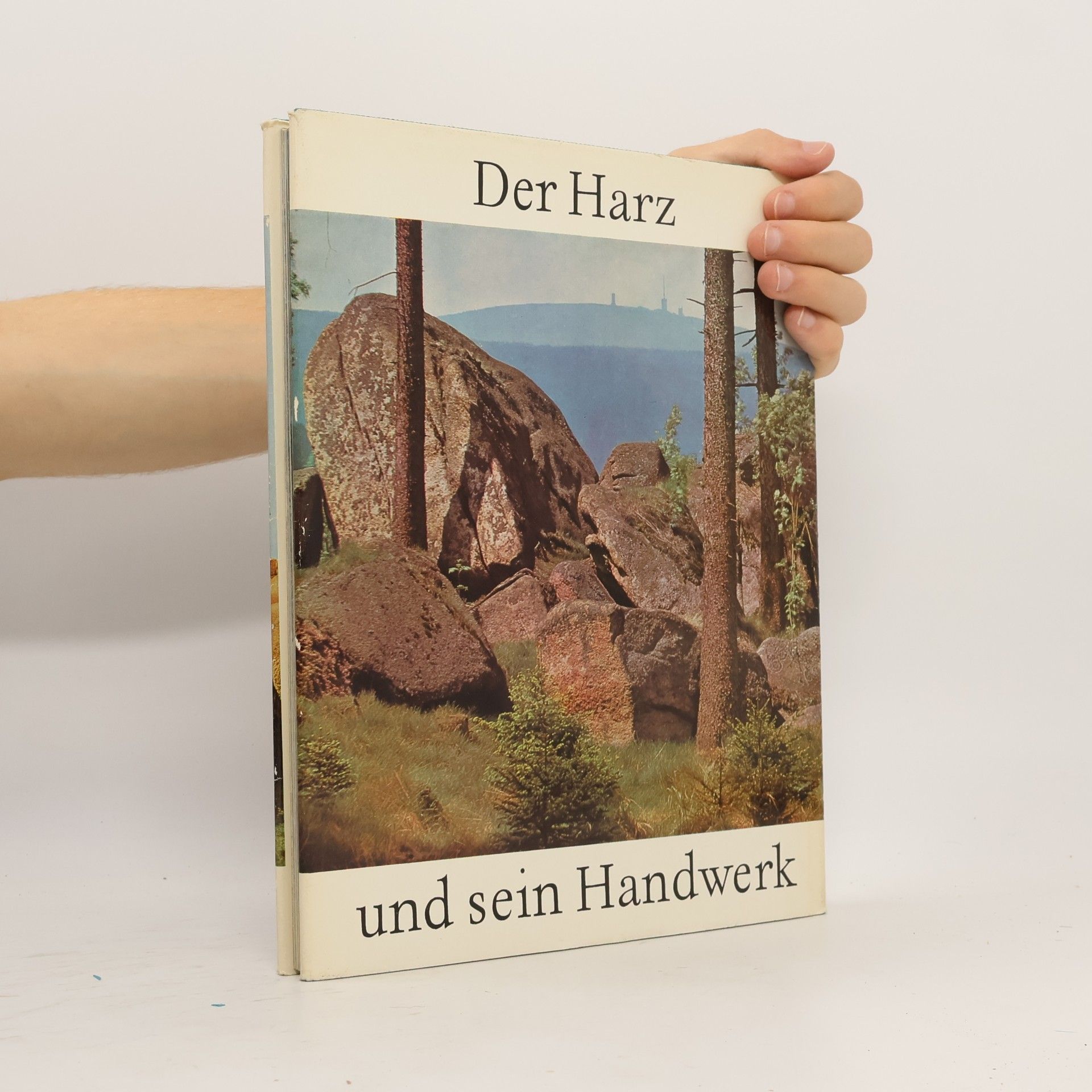 Ernst Schäfer Der Harz und sein Handwerk