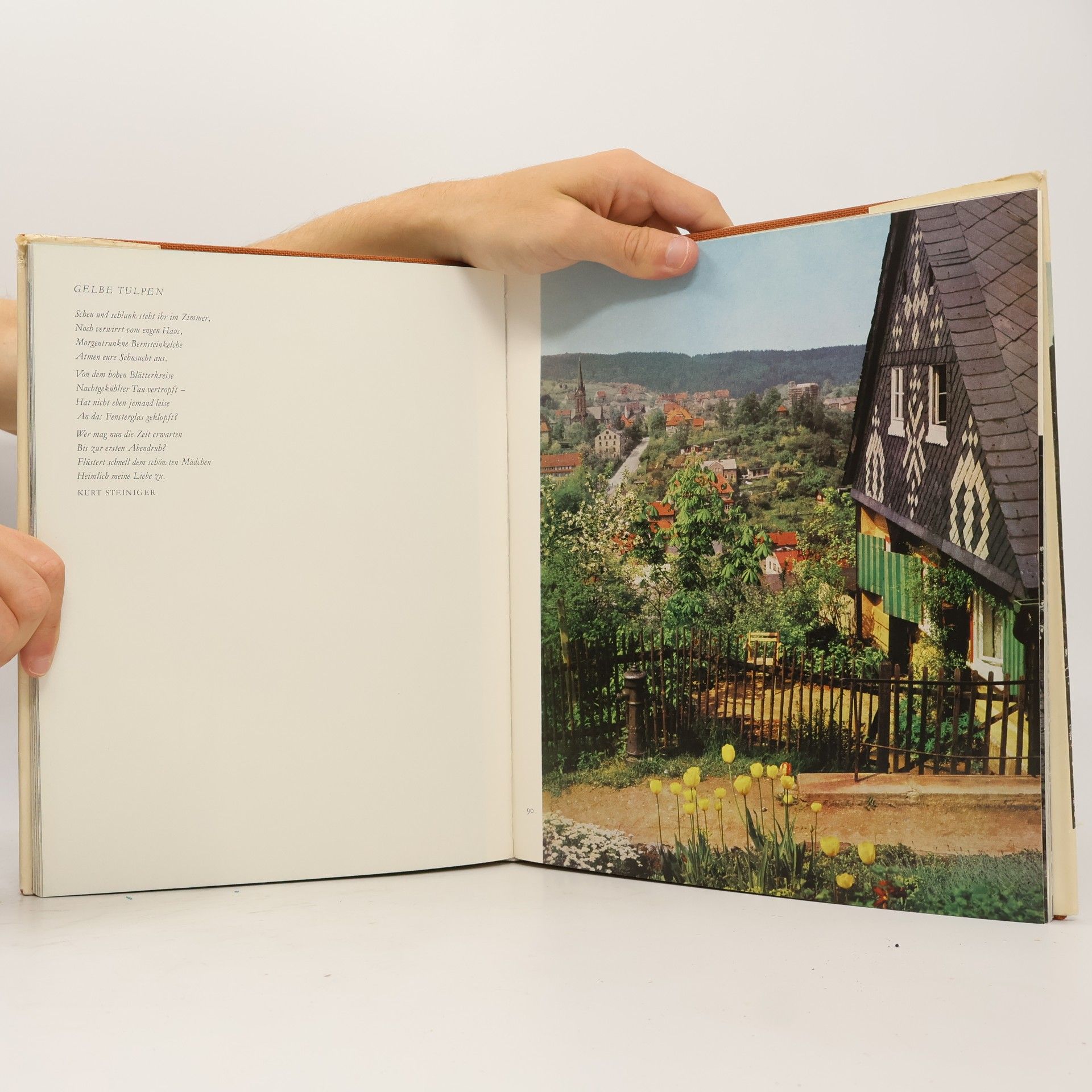 Autorenkollektiv Das Dresdener Elbtal und sein Handwerk