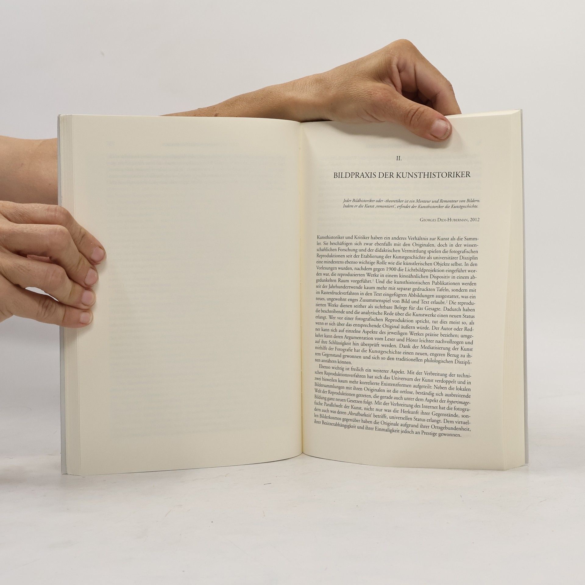 Felix Thürlemann Bild und Text: Mehr als ein Bild