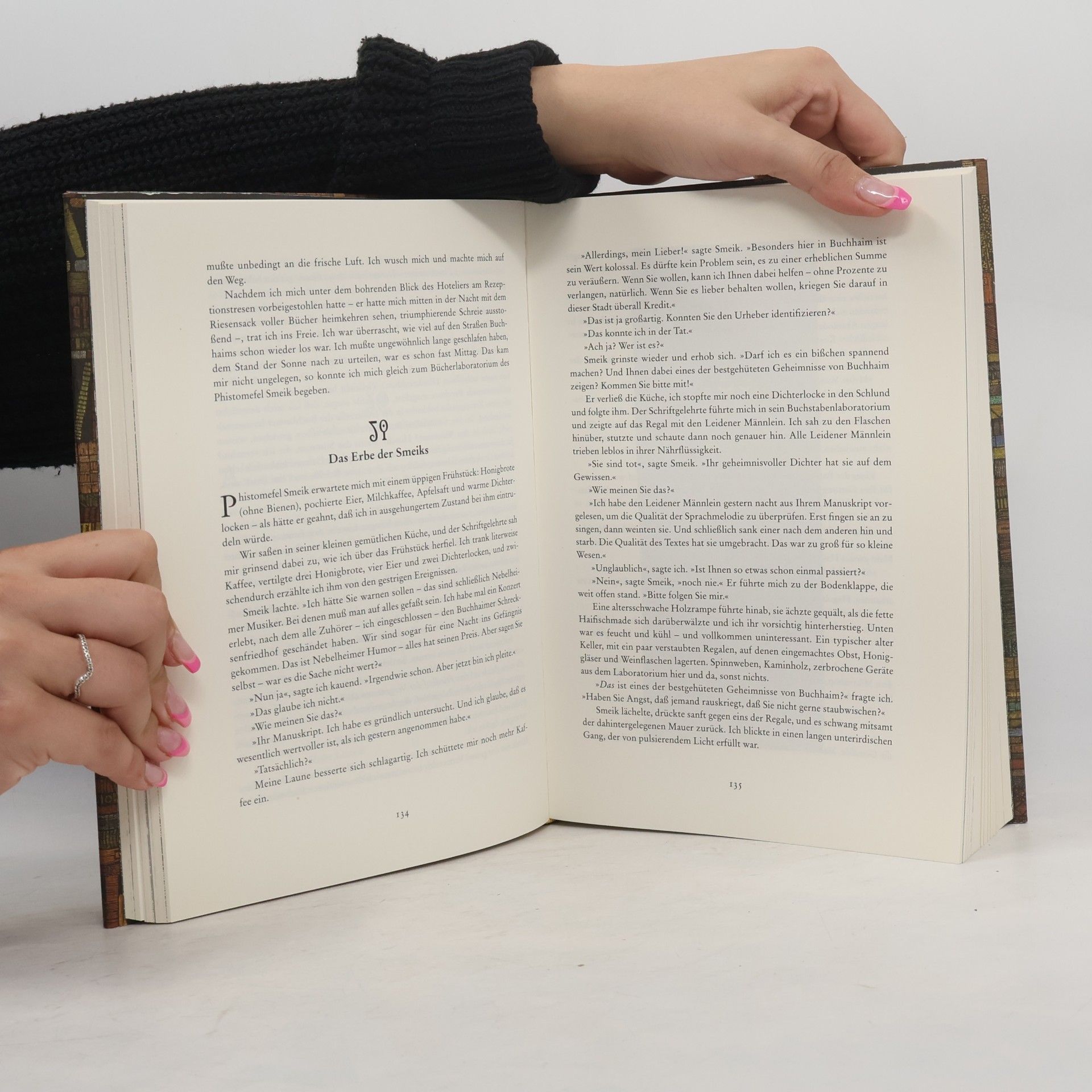 Walter Moers Die Stadt der Träumenden Bücher