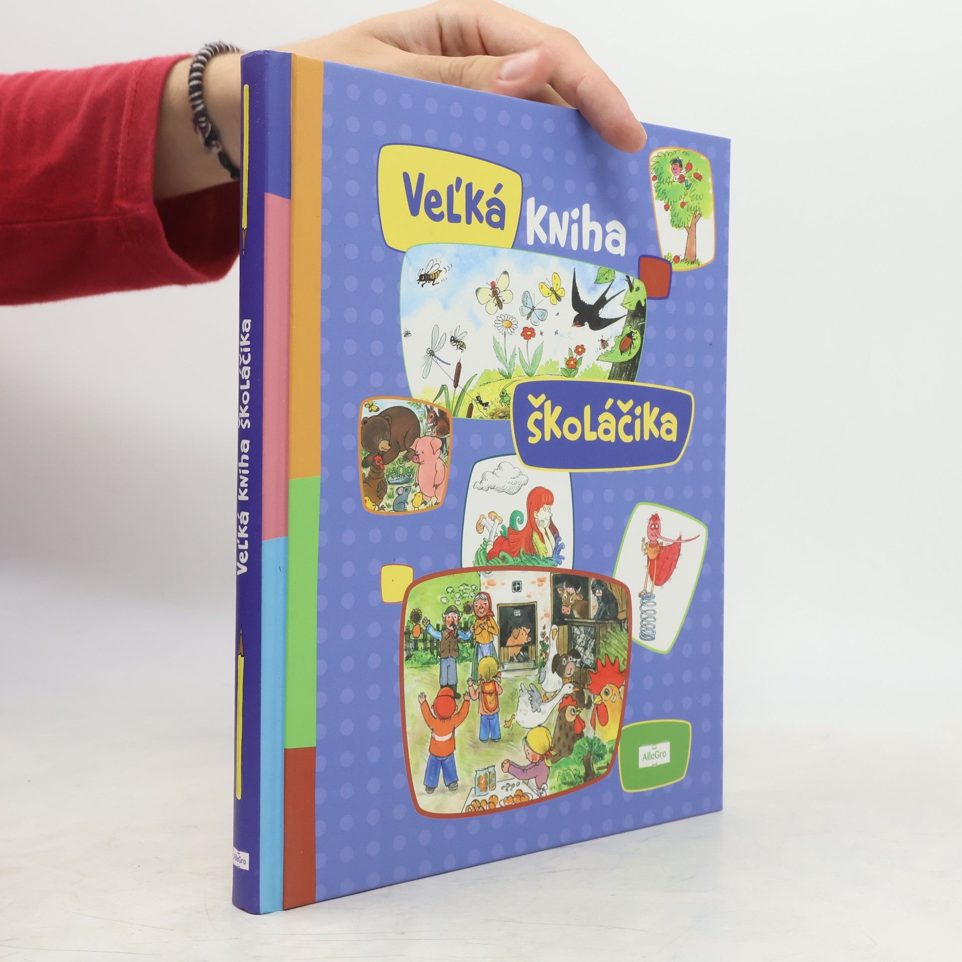 Autorenkollektiv Veľká kniha školáčika