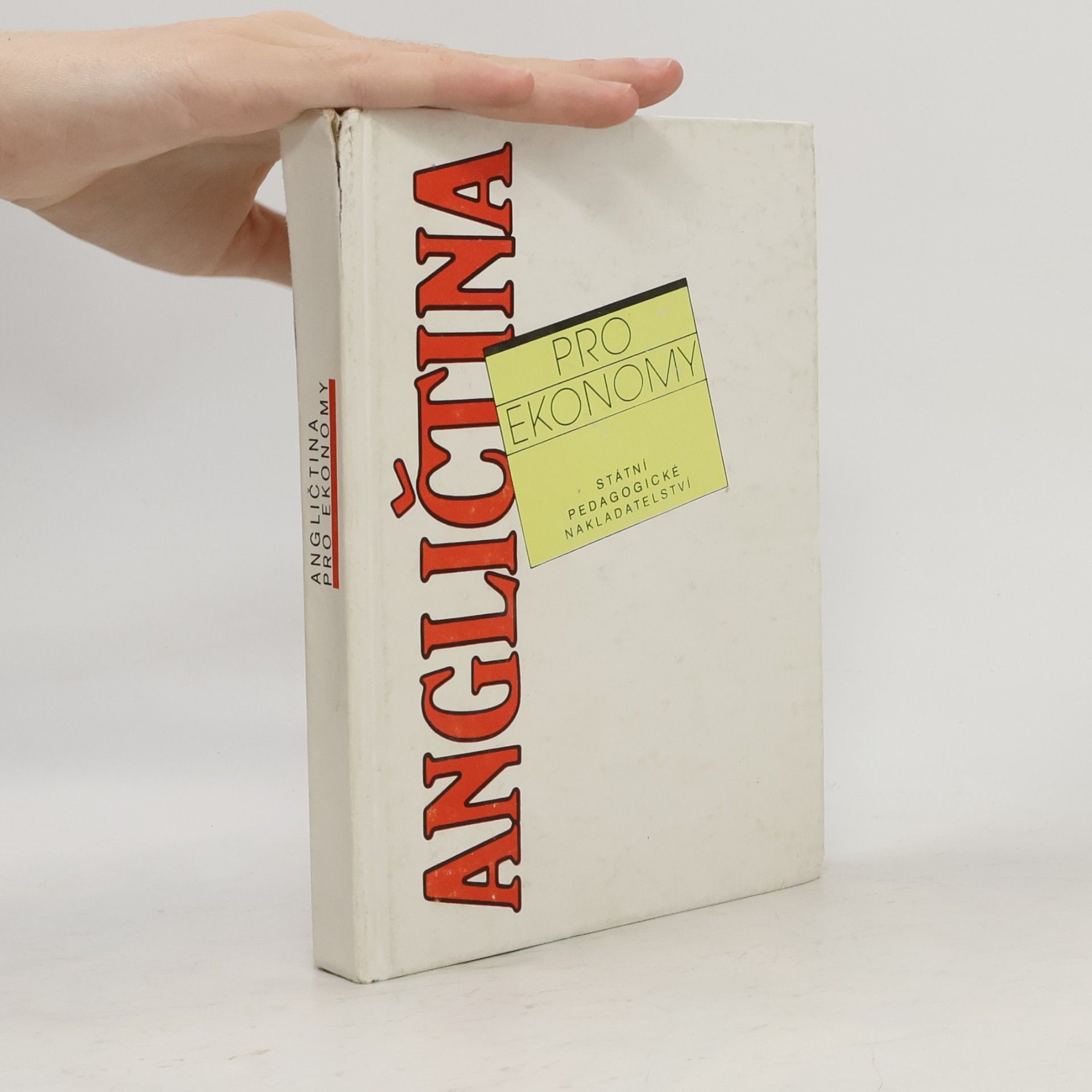 Vladimír Irgl Angličtina pro ekonomy