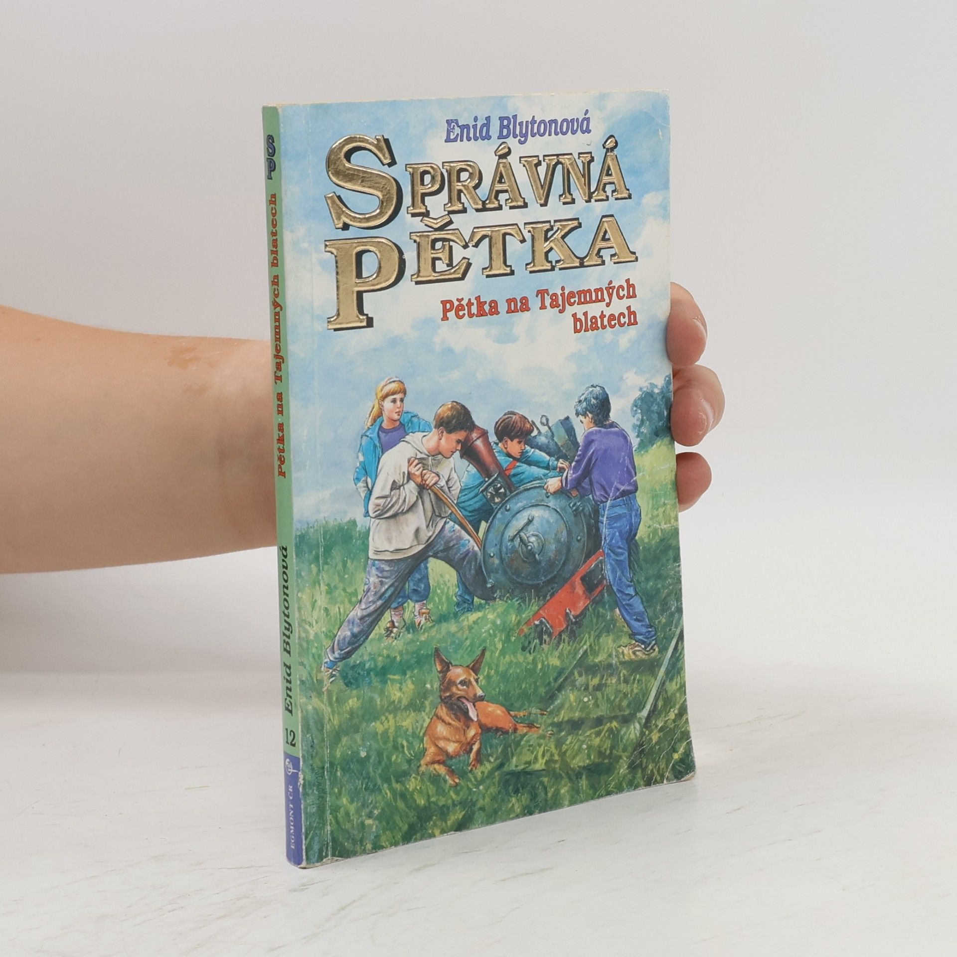 Enid Blyton Správná pětka: Pětka na Tajemných blatech