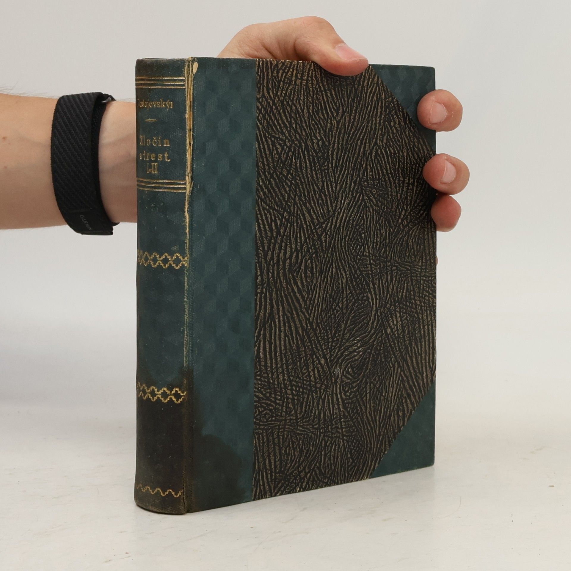 Fyodor Dostoyevsky Zločin a trest. Svazek I