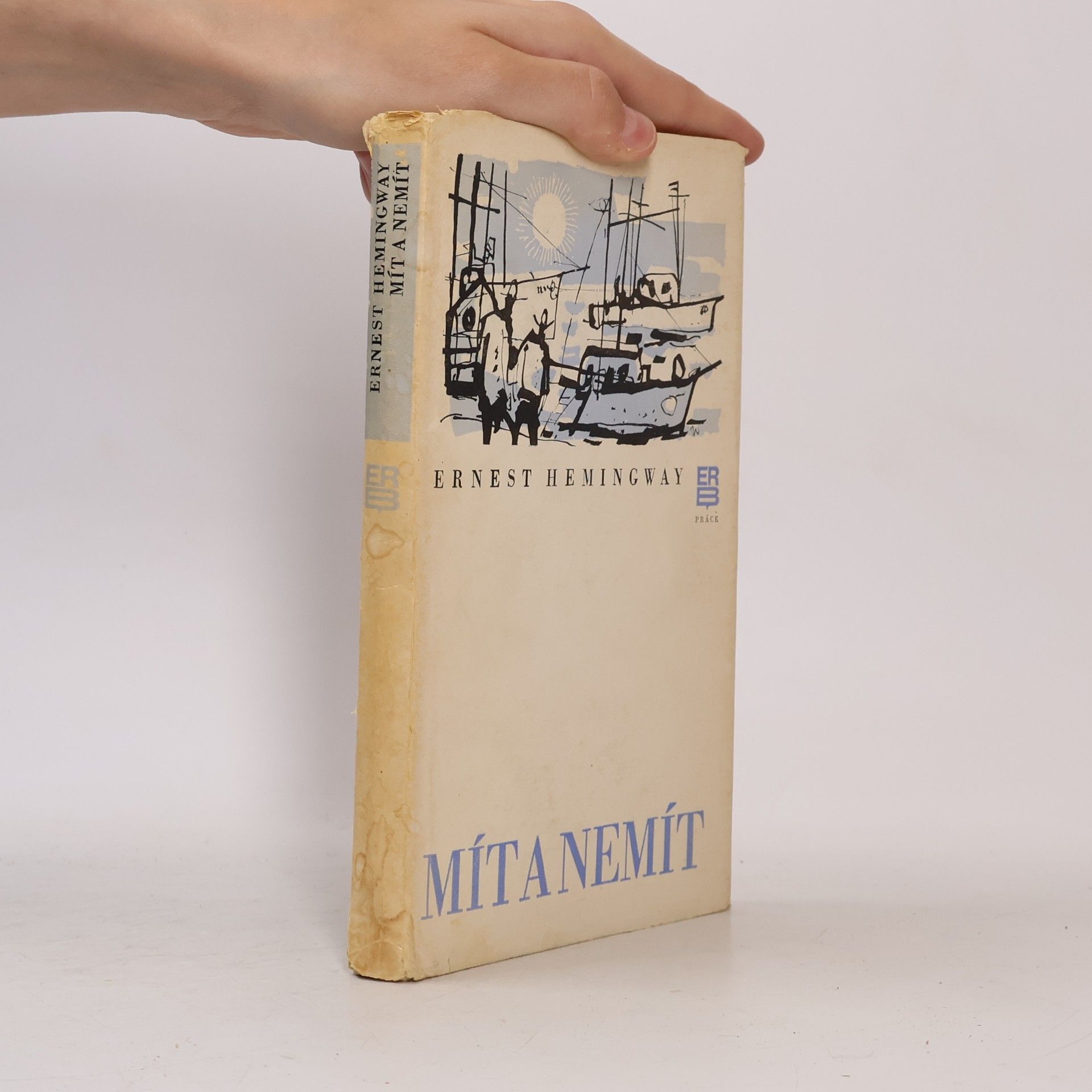 Ernest Hemingway Mít a nemít