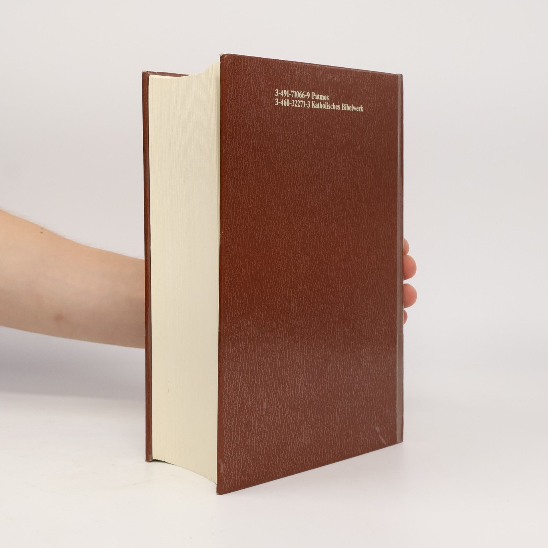 Franz Joseph Schierse Konkordanz zur Einheitsübersetzung der Bibel