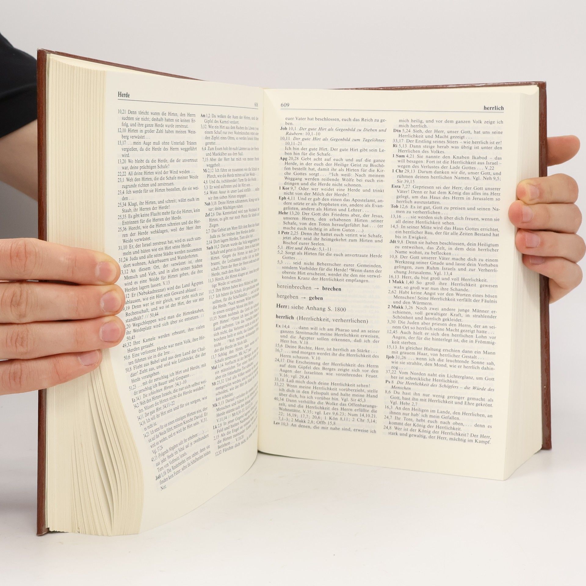 Franz Joseph Schierse Konkordanz zur Einheitsübersetzung der Bibel