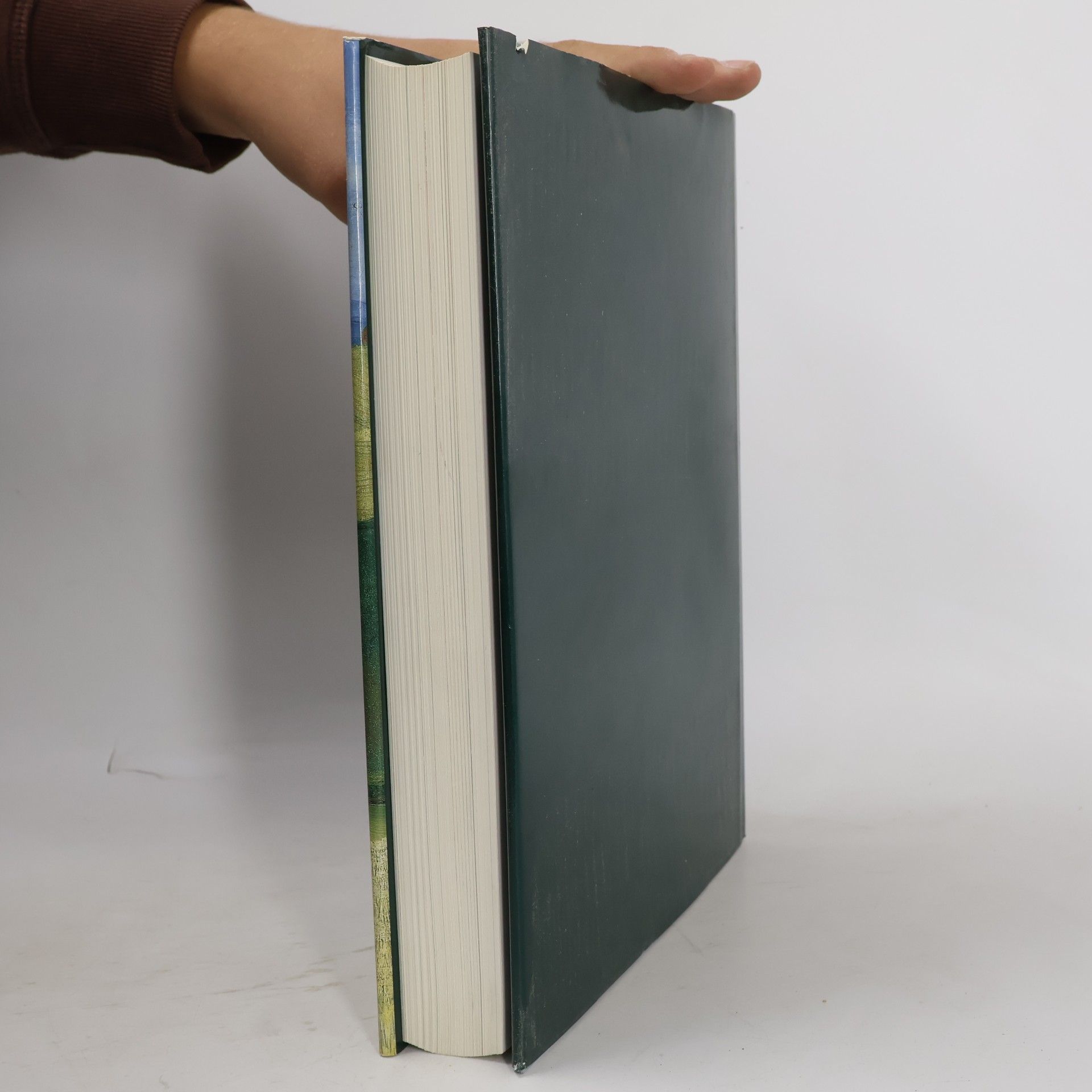 Autores varios Il paesaggio Toscana