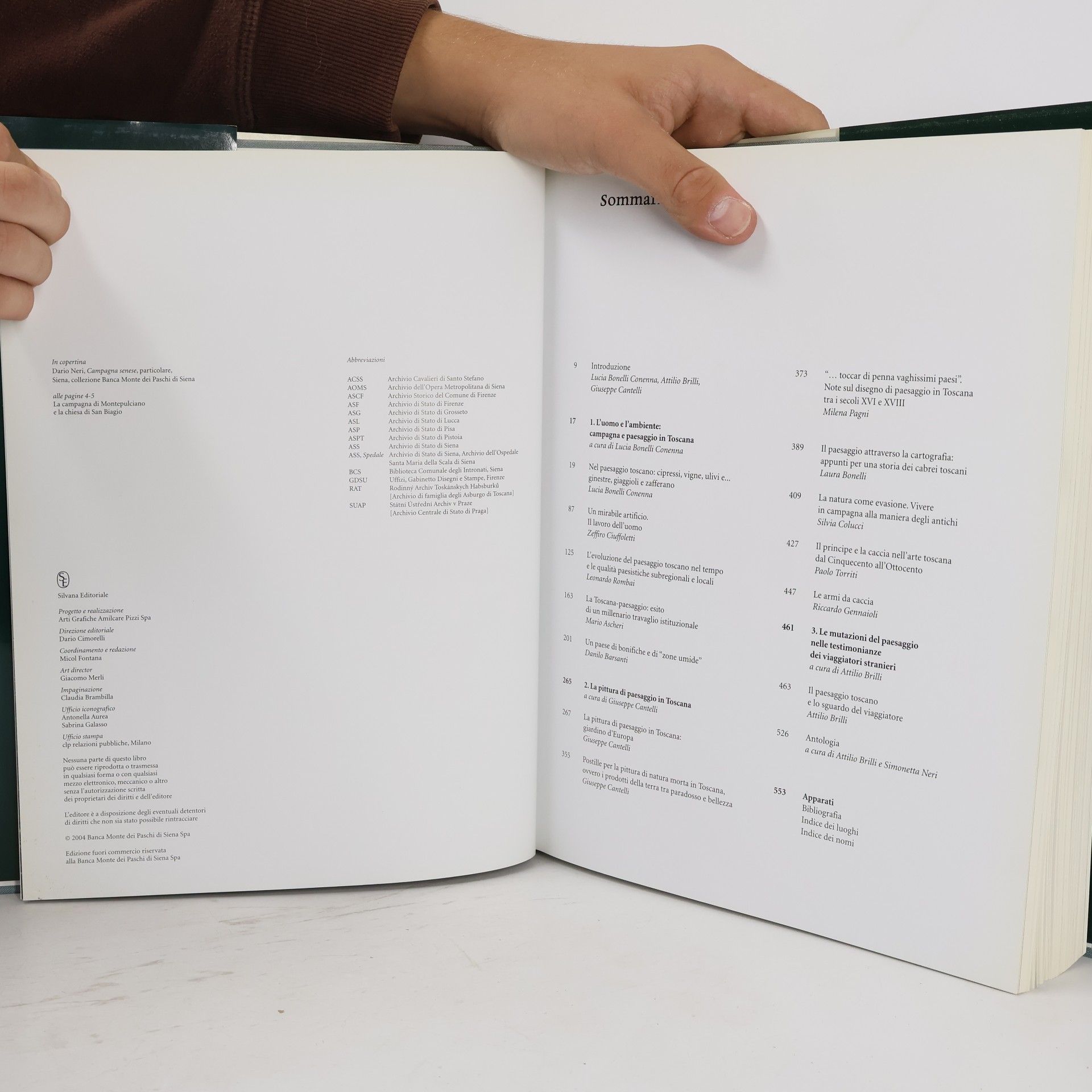 Autores varios Il paesaggio Toscana