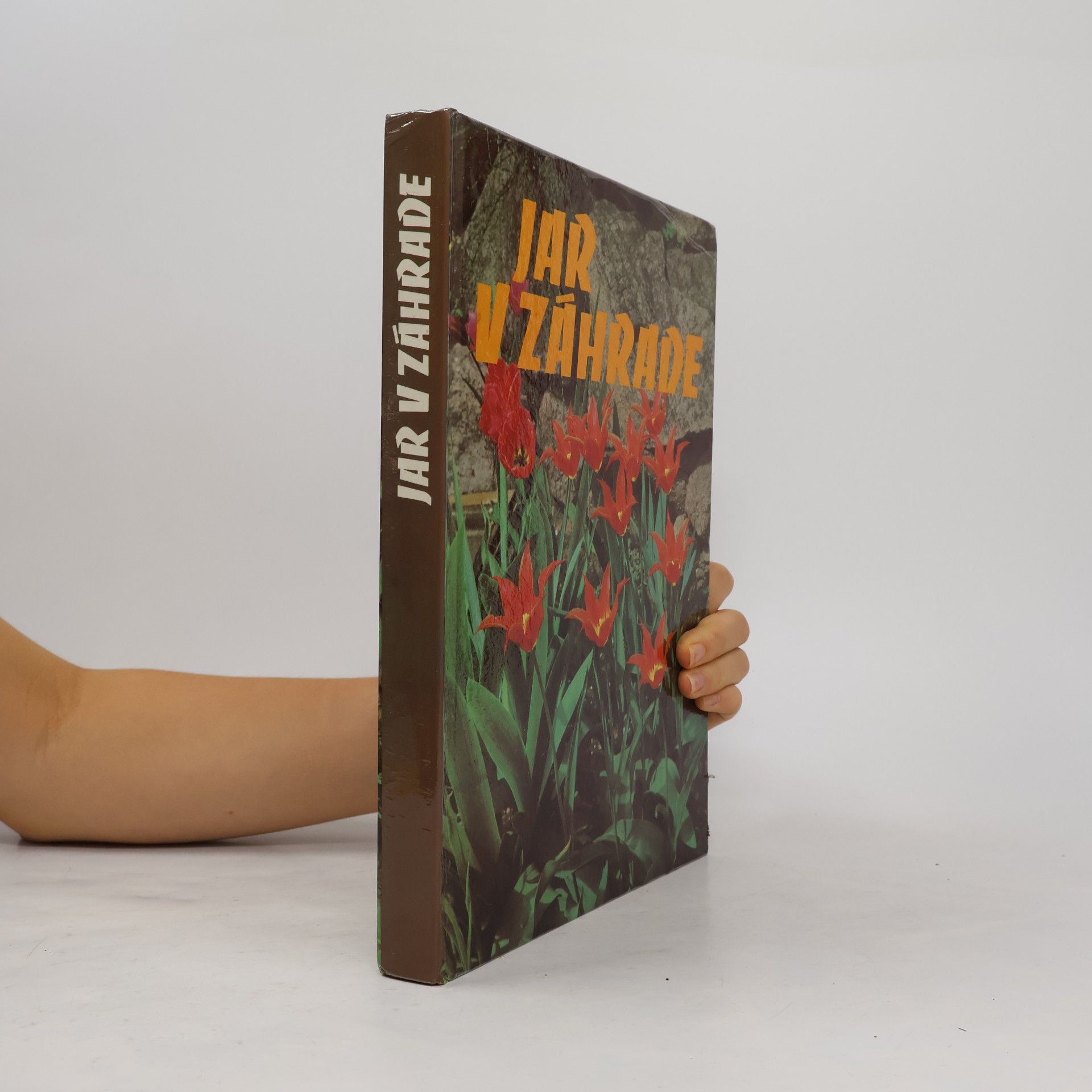 Collectif d'auteurs Jar v záhrade