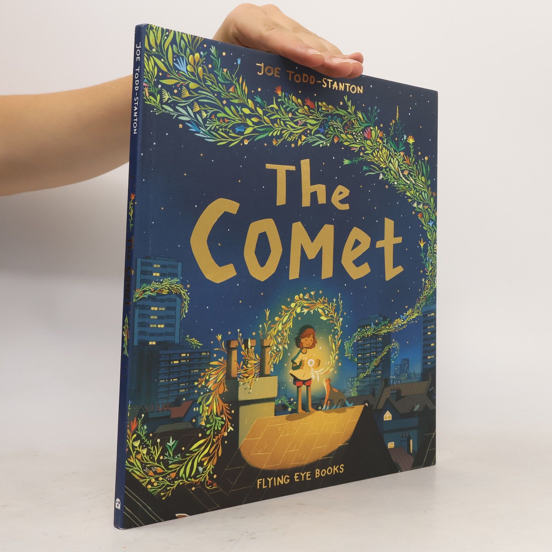 Joe Todd-Stanton The Comet