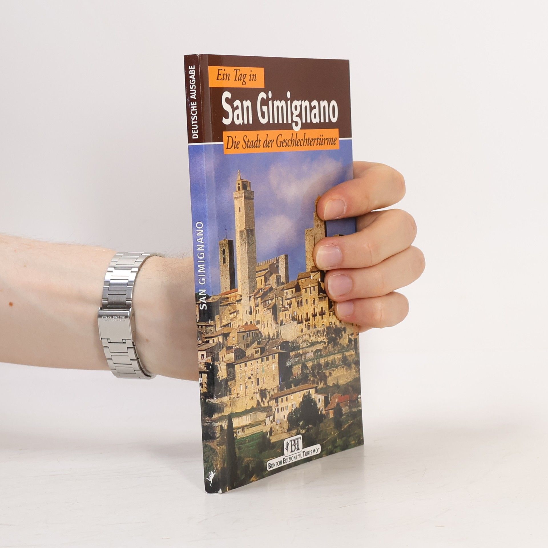Piero Torriti San Gimignano. Die Stadt der Geschlechtertürme