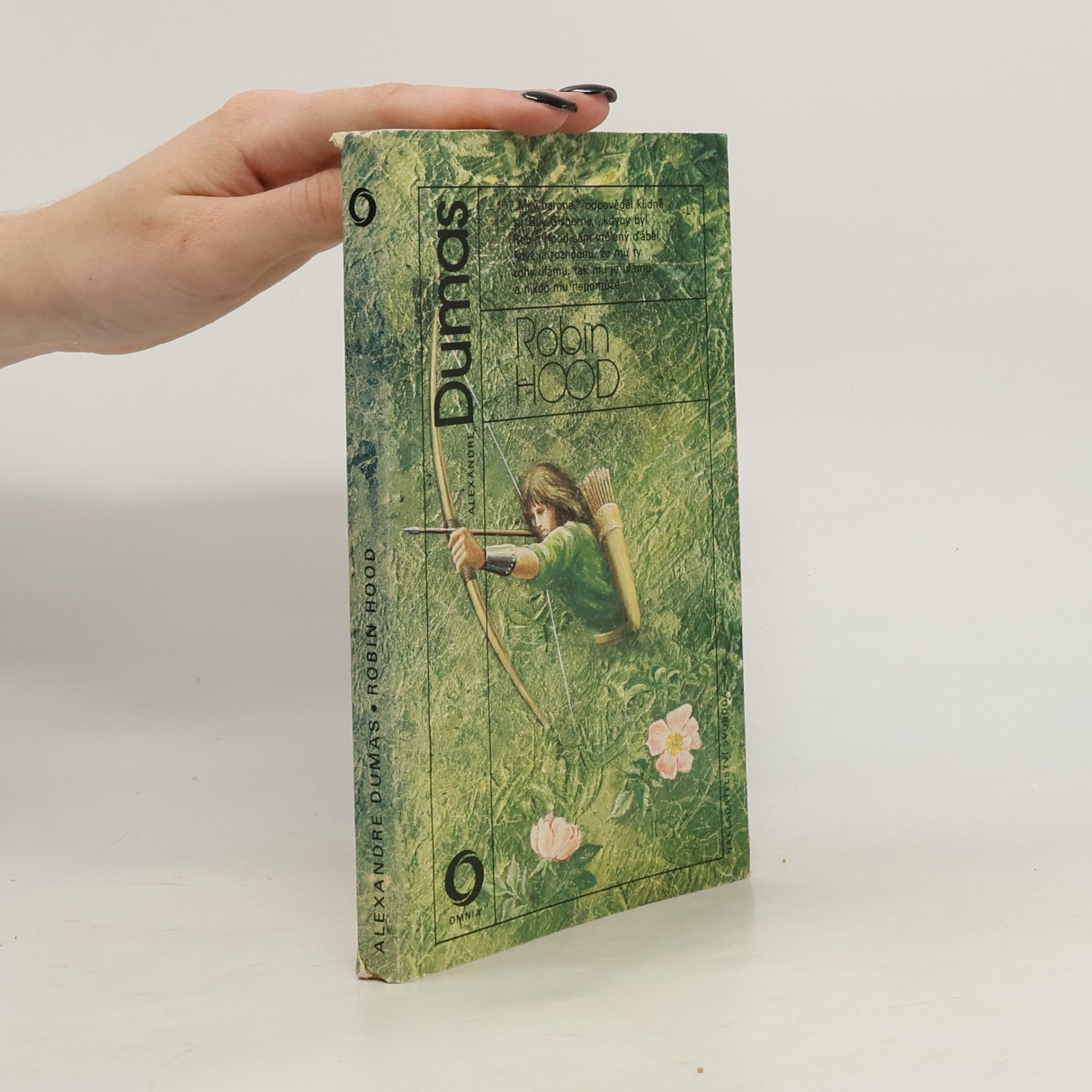 Alexandre Dumas der Ältere Robin Hood