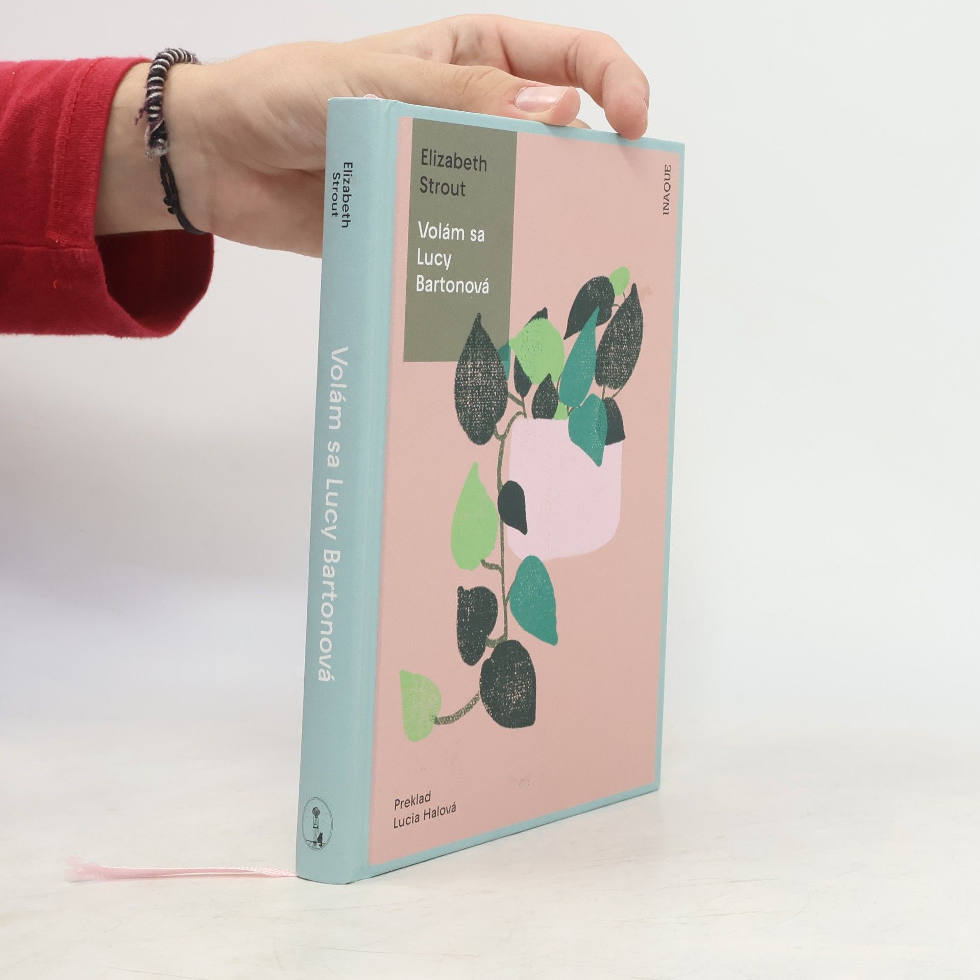 Elizabeth Strout Volám sa Lucy Bartonová