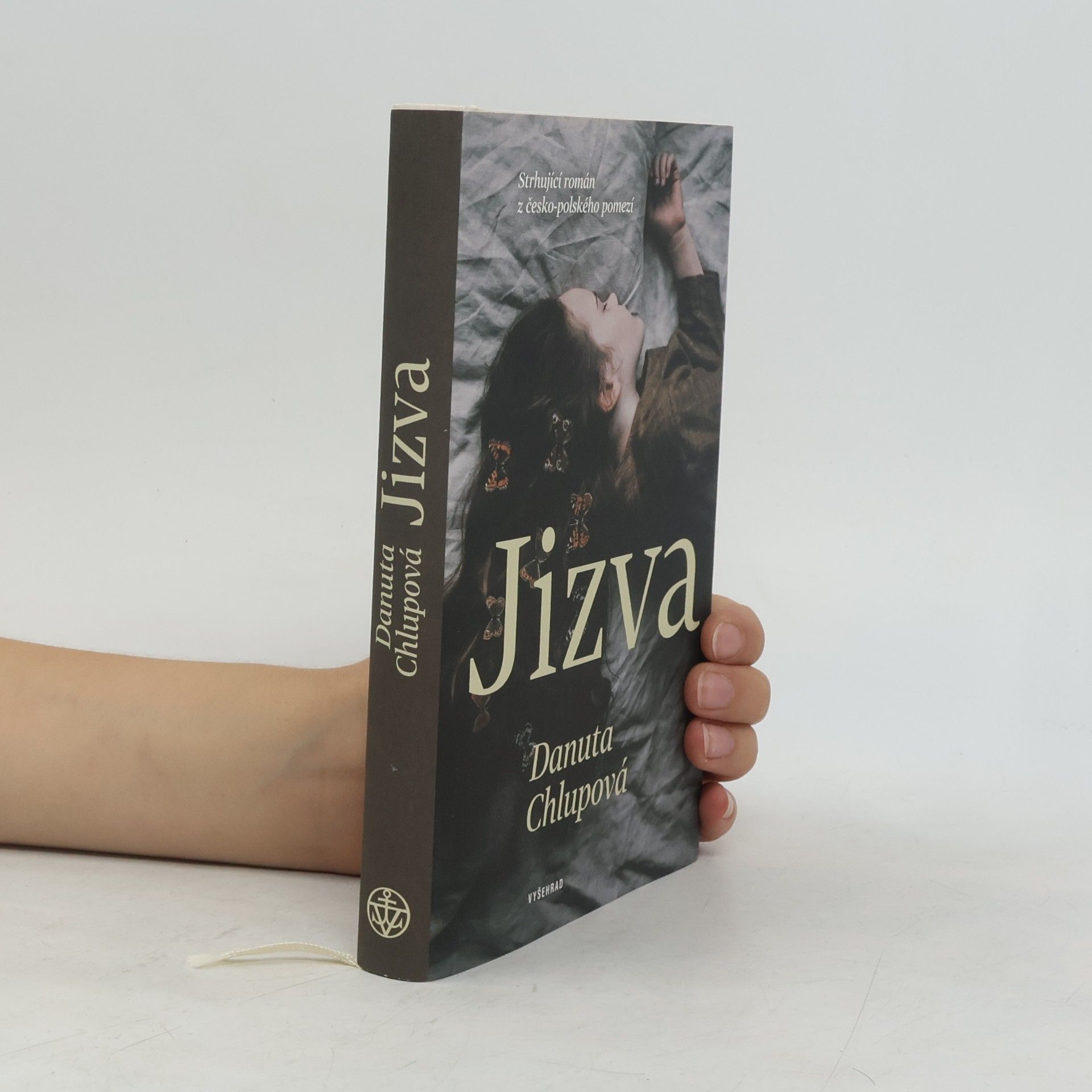 Danuta Chlupová Jizva