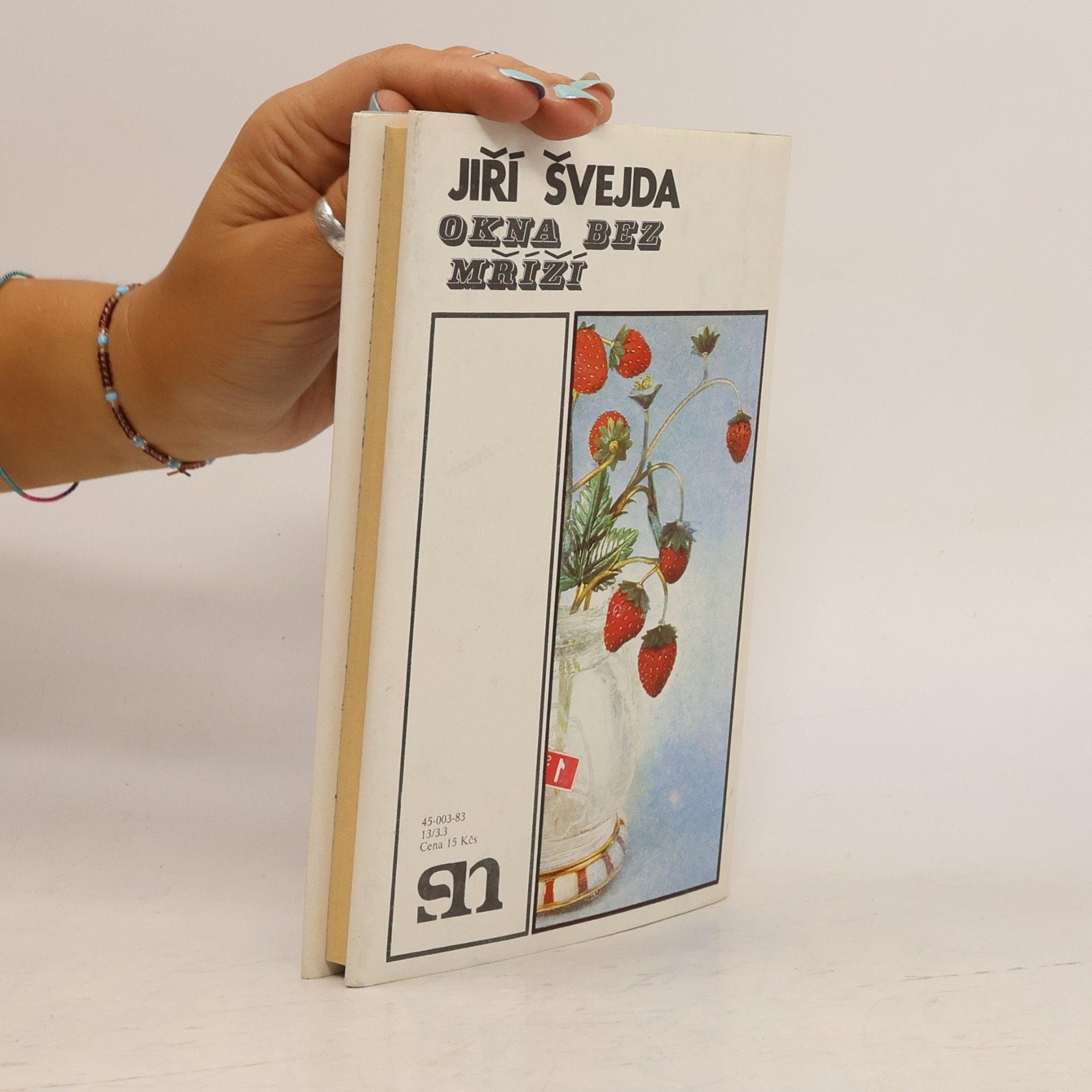 Jiří Švejda Okna bez mříží