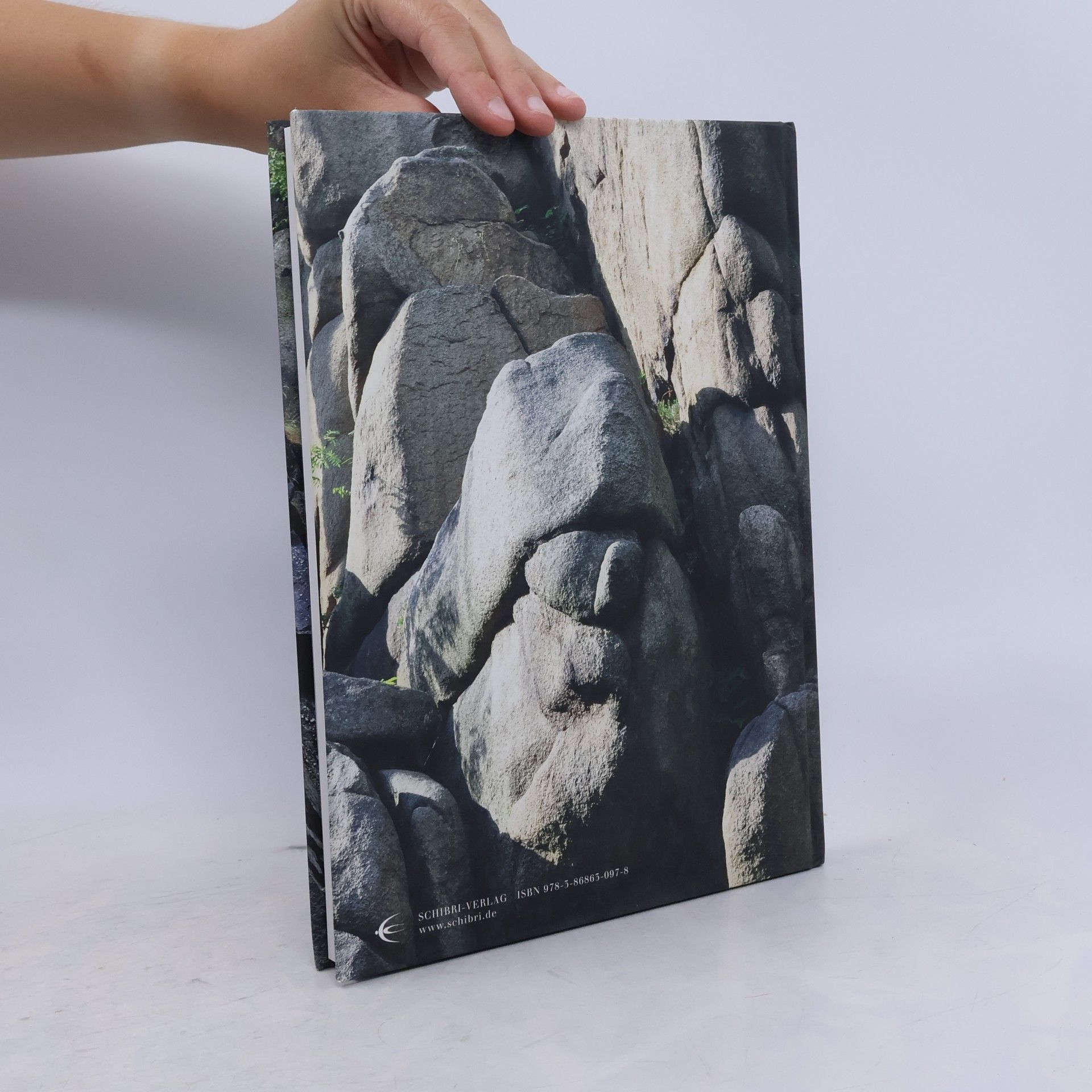 Gerd Rainer Riedel Granit Goethes Urgestein