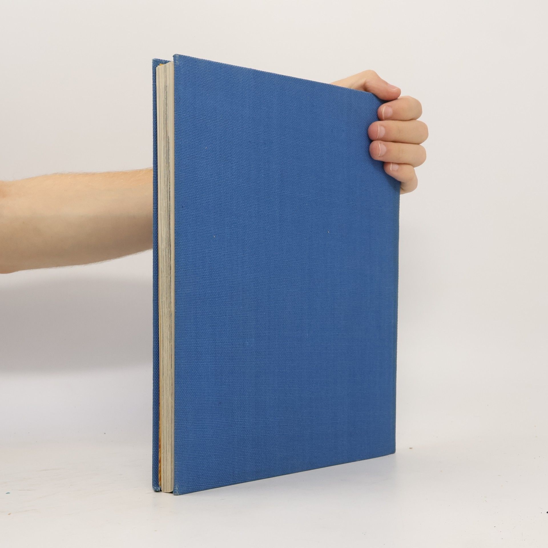 Ernst Schäfer Mecklenburg und sein Handwerk
