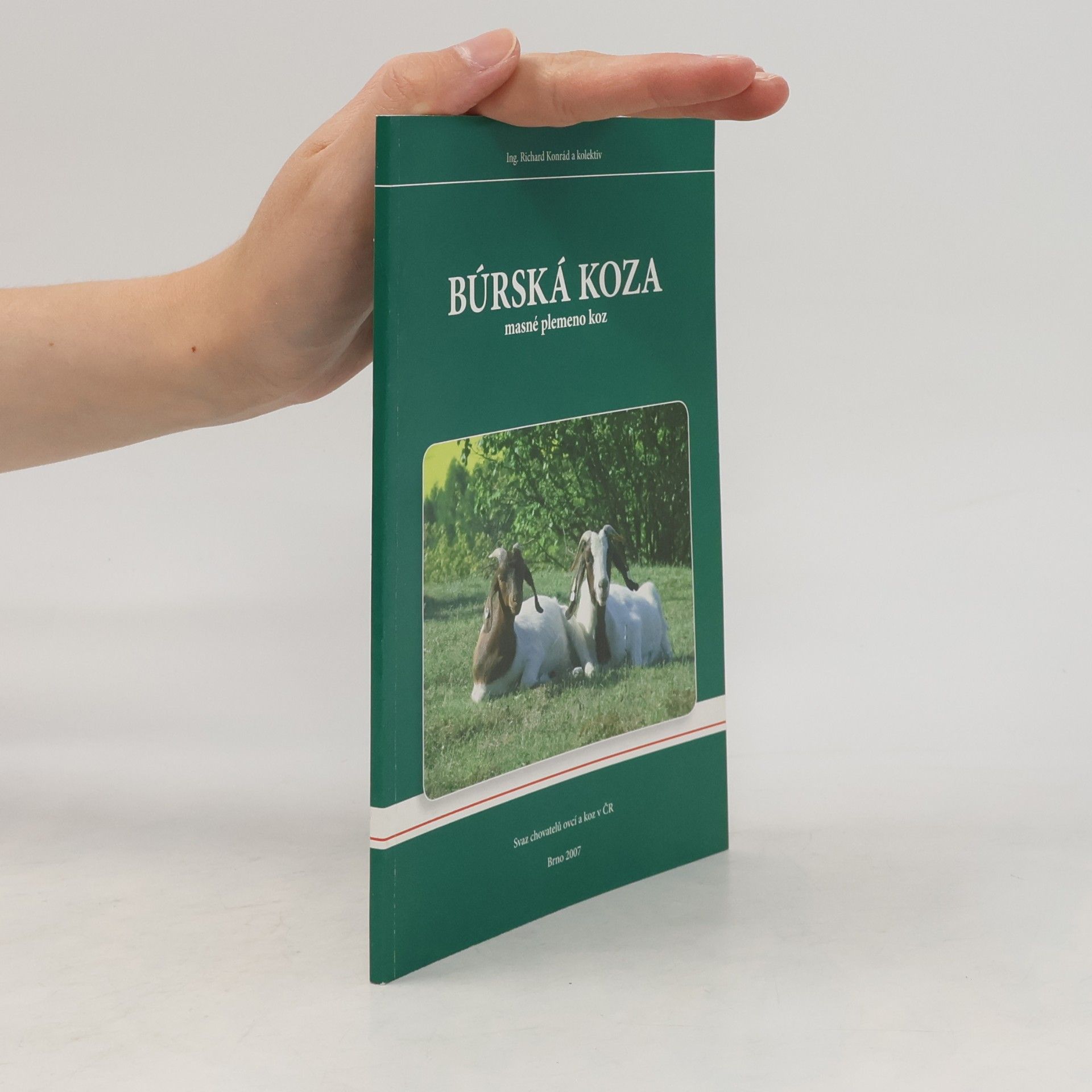 Richard Konrád Búrská koza masné plemeno koz