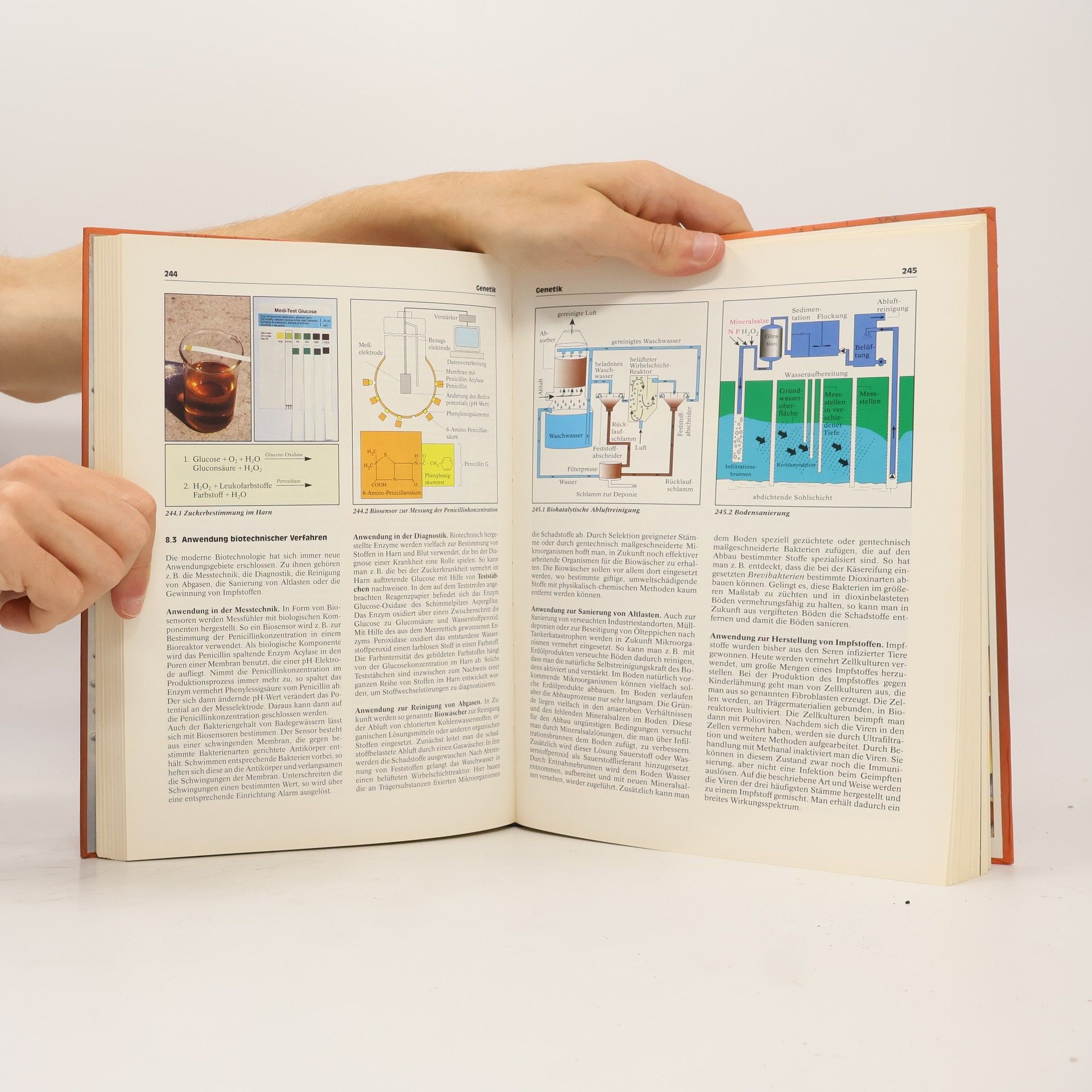 Biologie heute SII