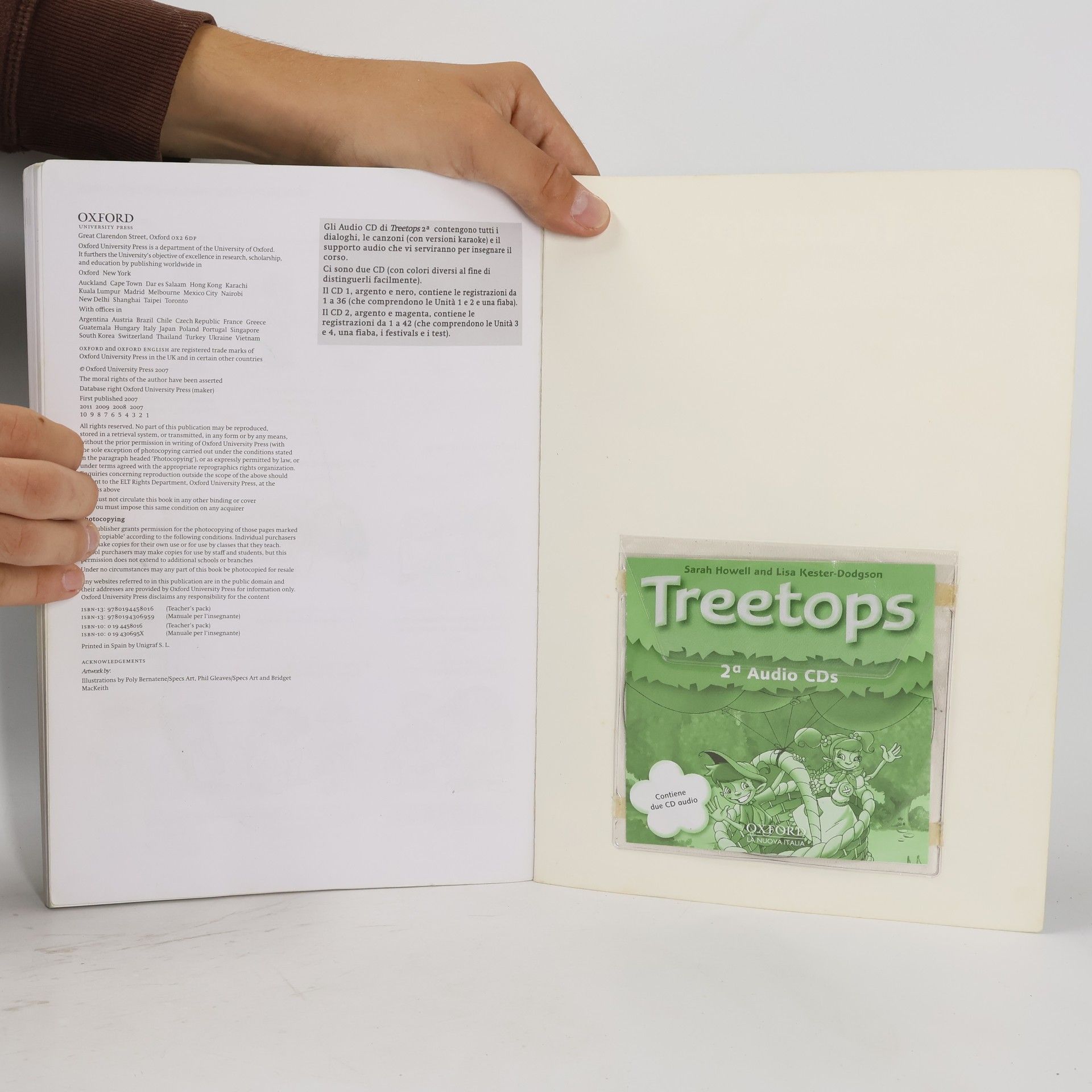 Sarah Howell Treetops 2a