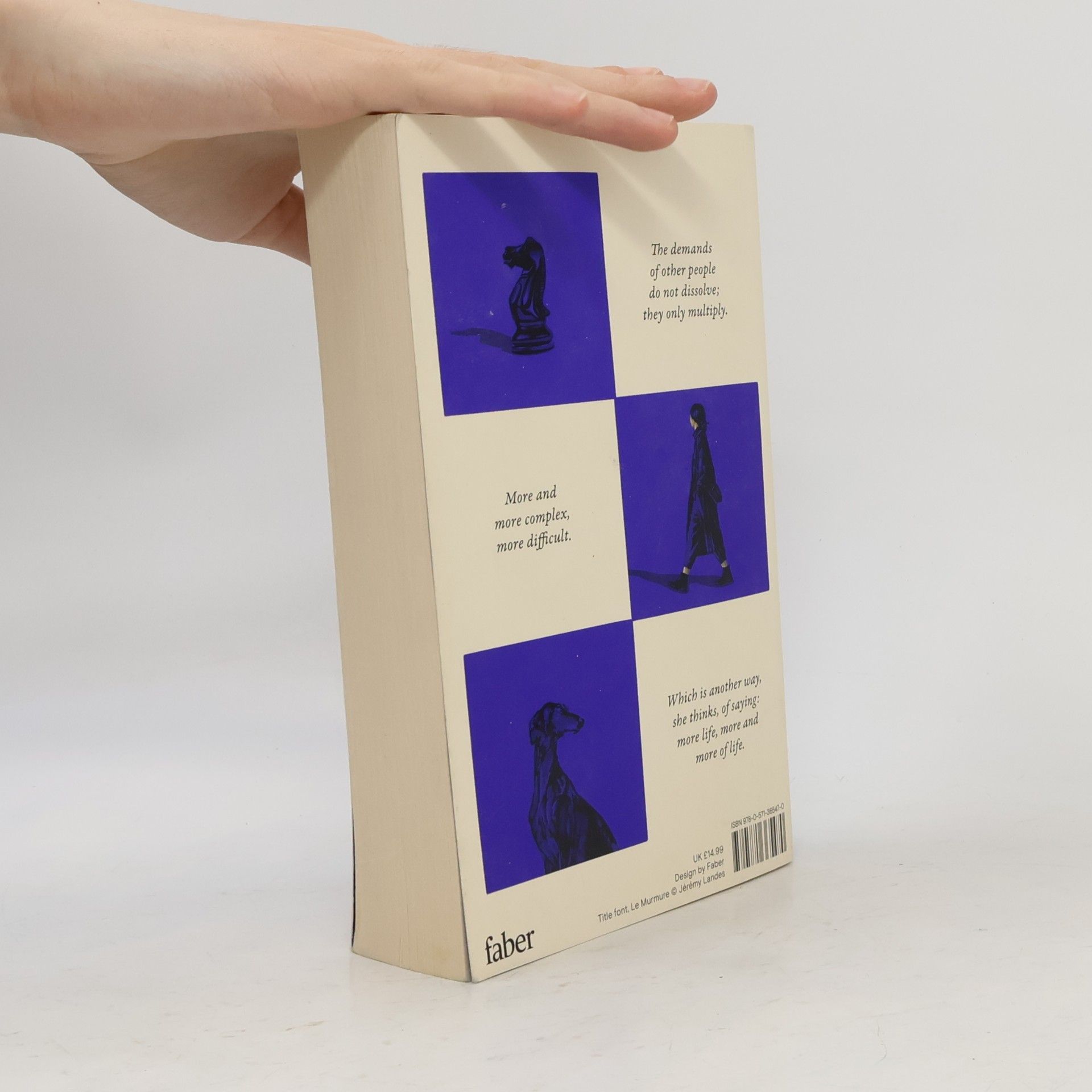 Sally Rooney Intermezzo