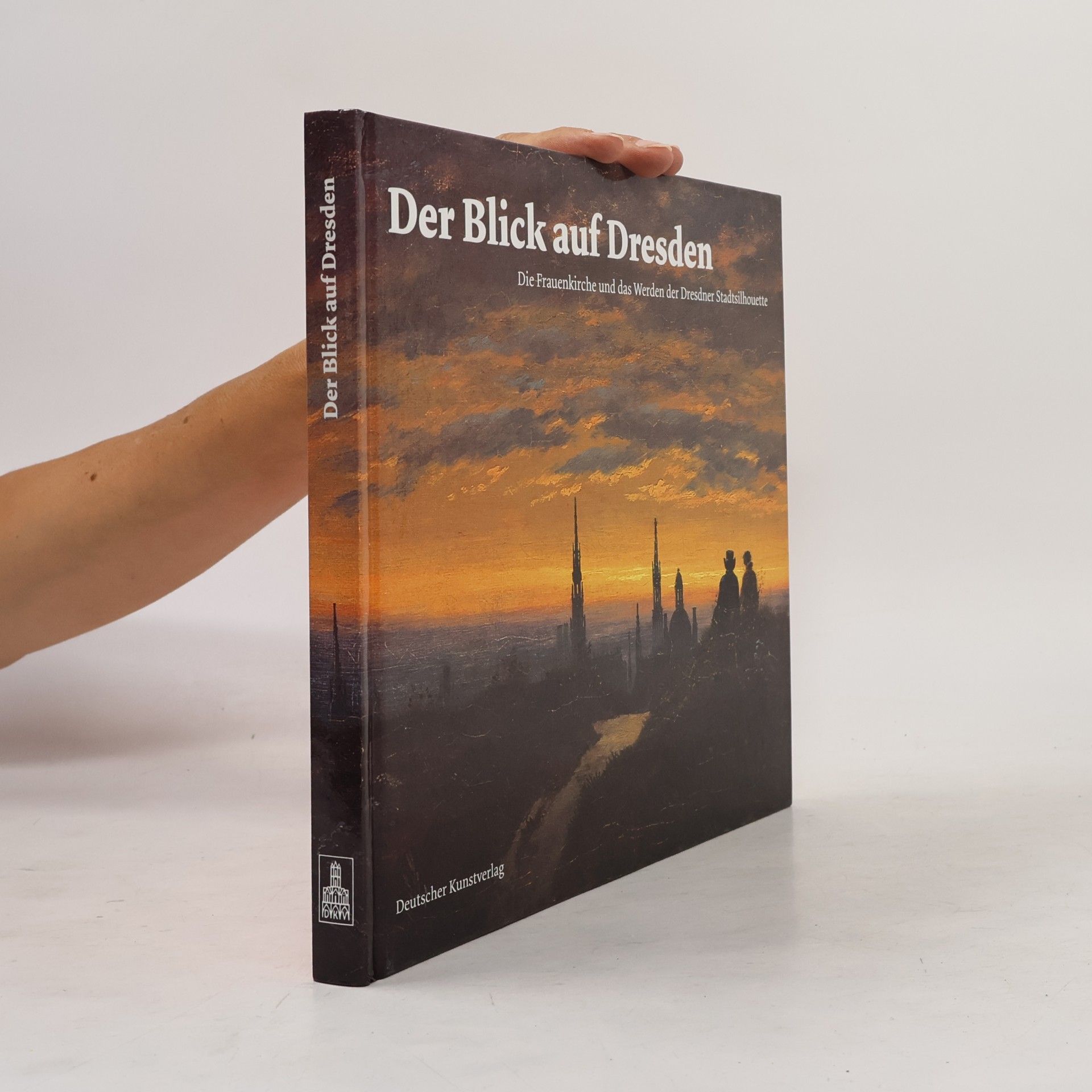 Anna Greve Der Blick auf Dresden