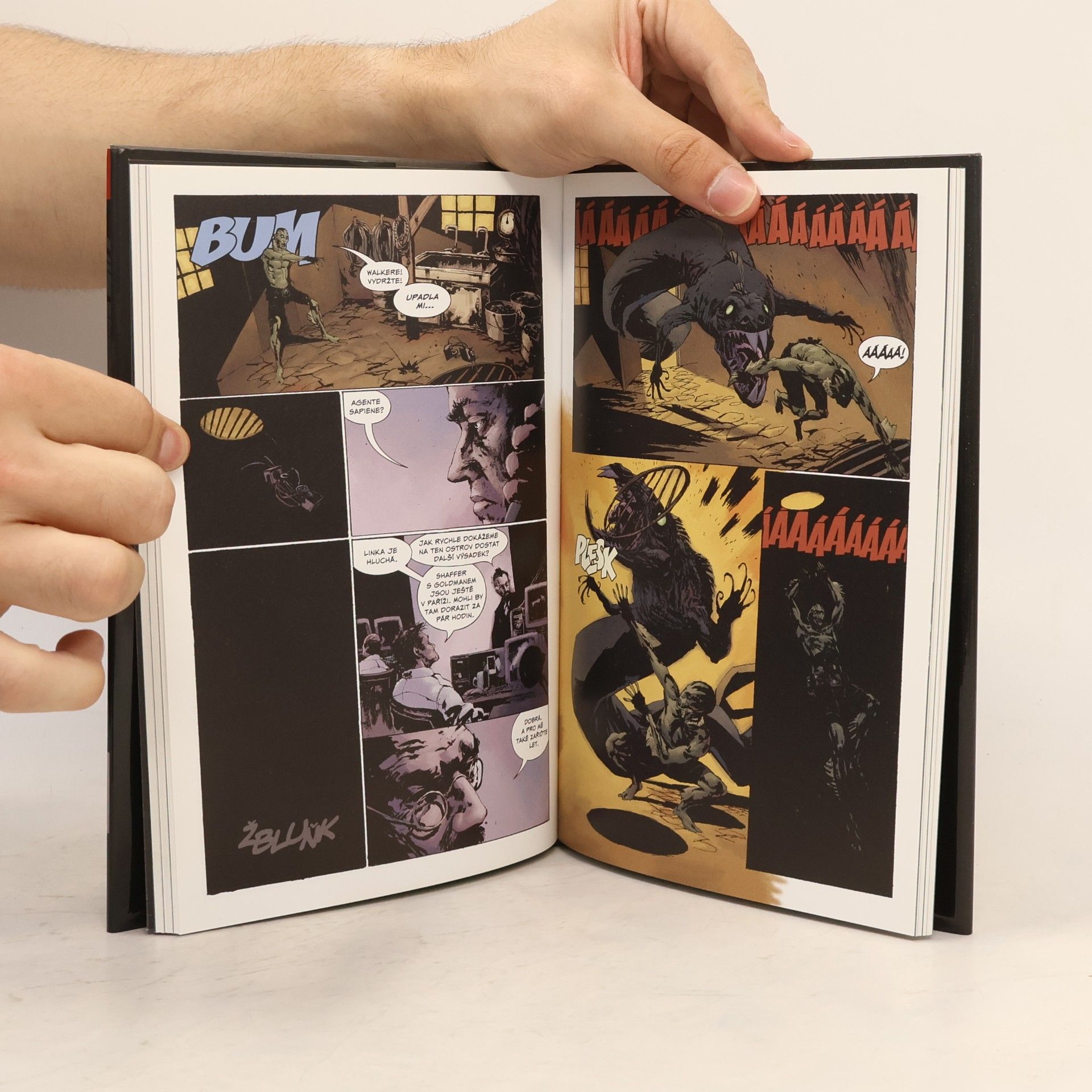 Mike Mignola Dýka z Lipu