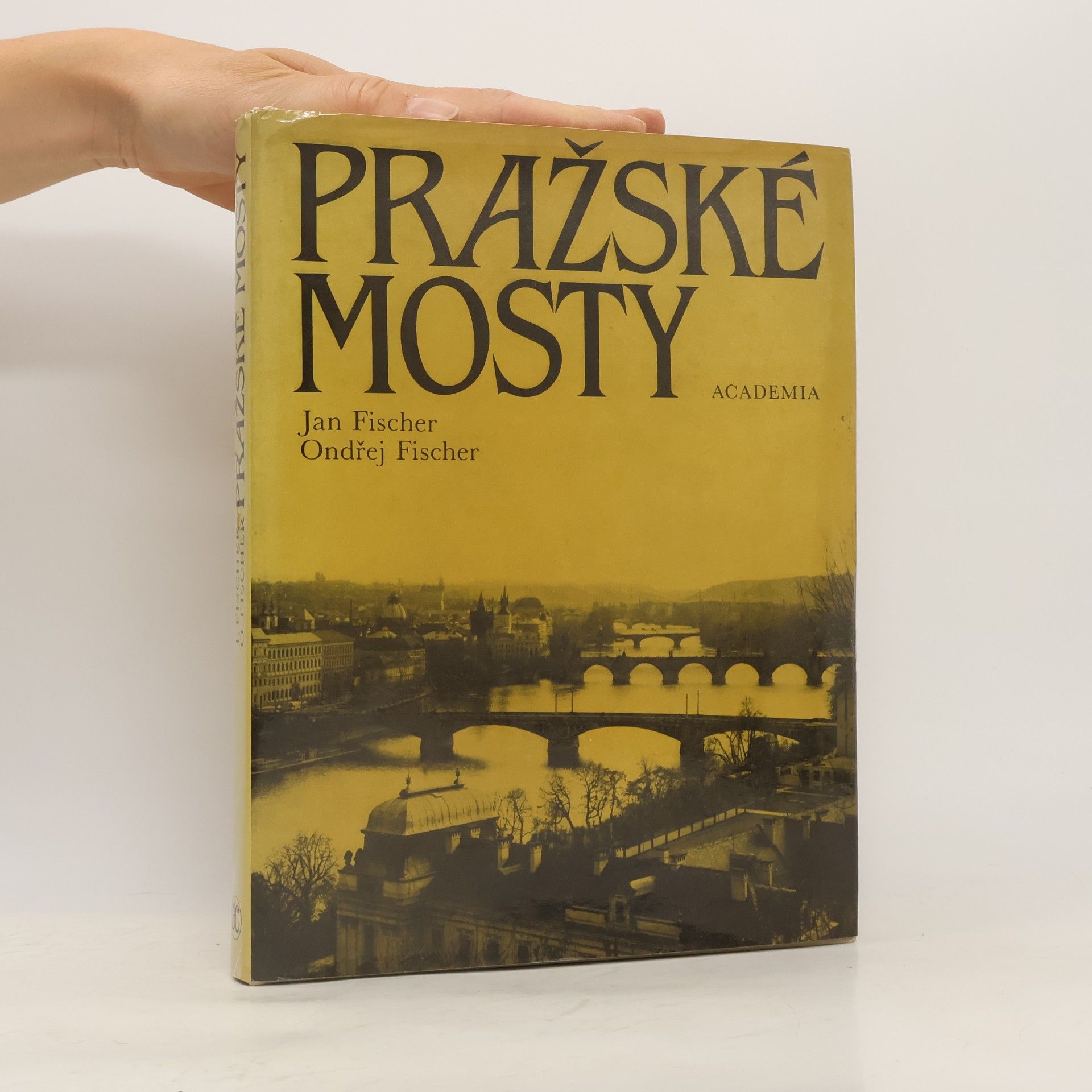 Jan Fischer Pražské mosty