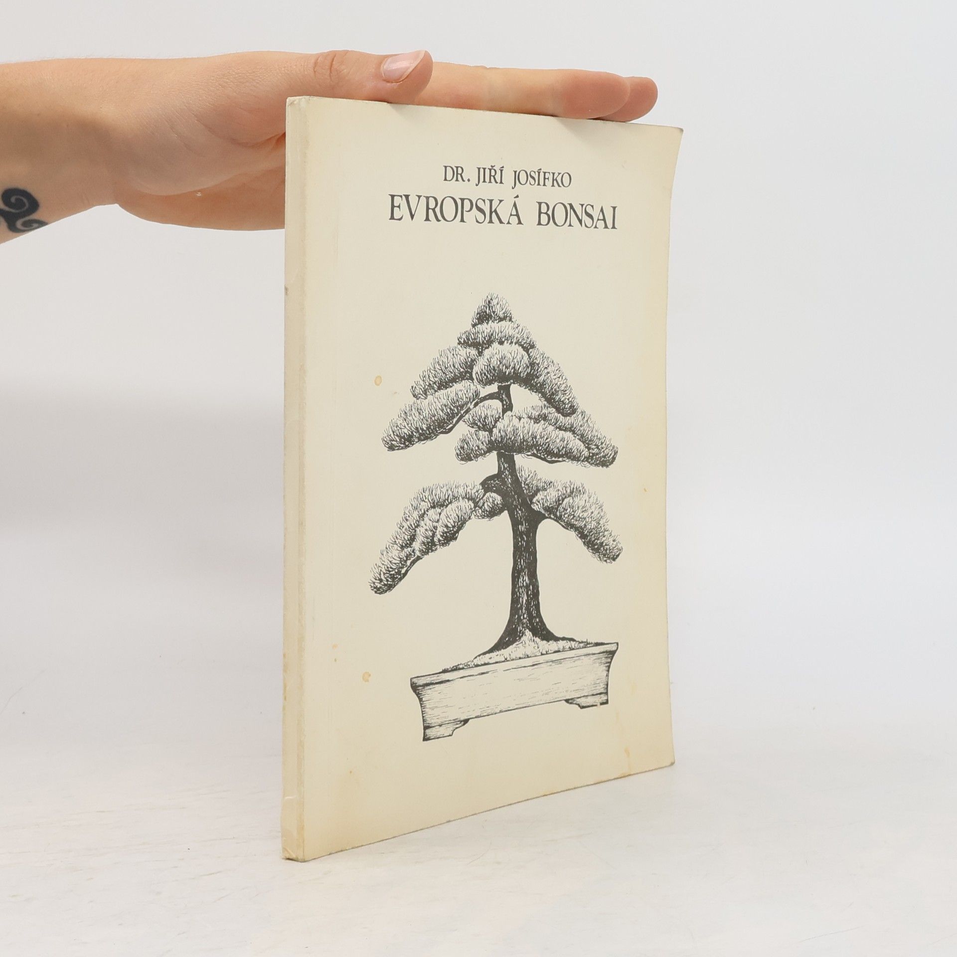 Josífko Jiří Evropská bonsai