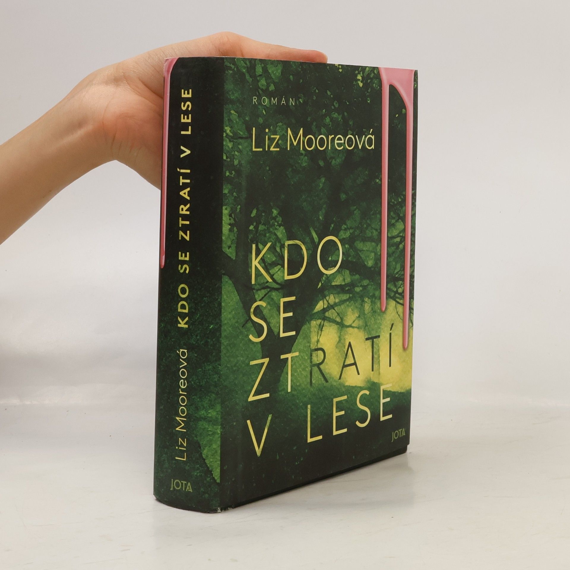 Liz Moore Kdo se ztratí v lese