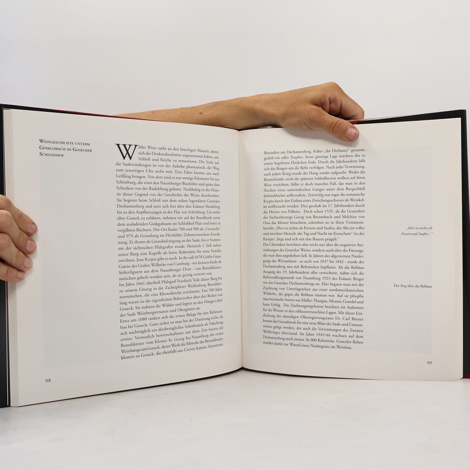 Anne Wiesigel Weinreiseland an Saale und Unstrut