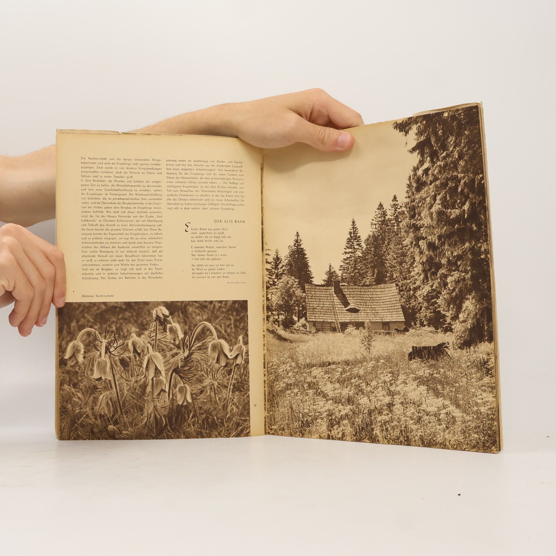 Autorenkollektiv Erzgebirge Heimatbuch