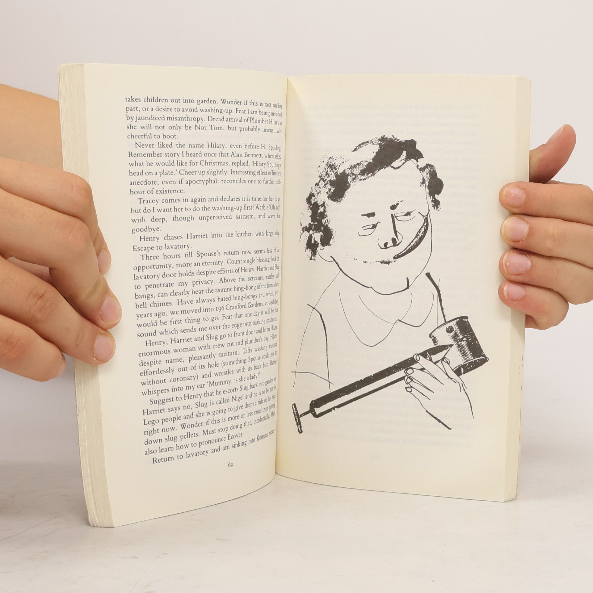 Sue Limb Dulcie Domum's Bad Housekeeping