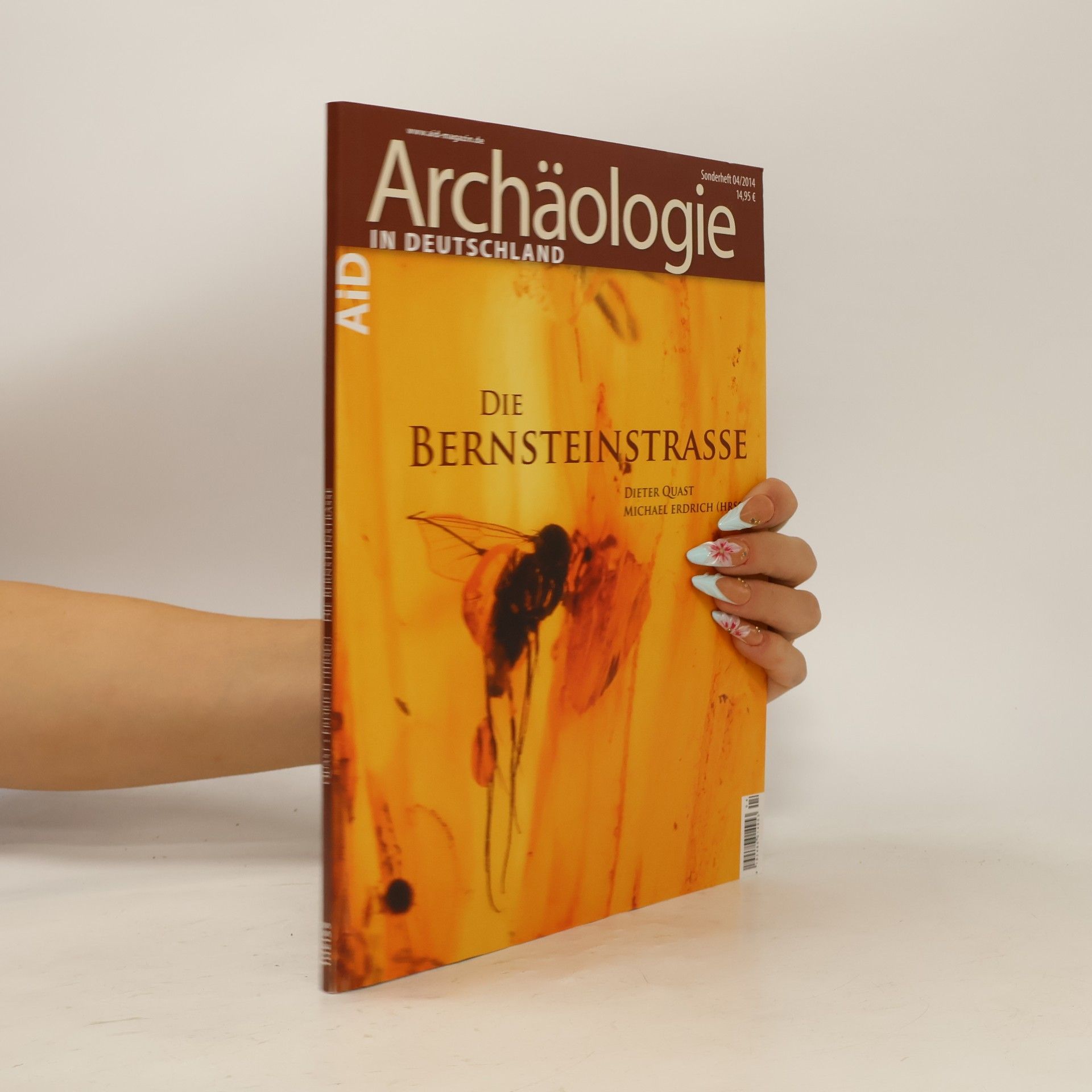 Michael Erdrich Archäologie in Deutschland - 04/2014: Die Bernsteinstraße