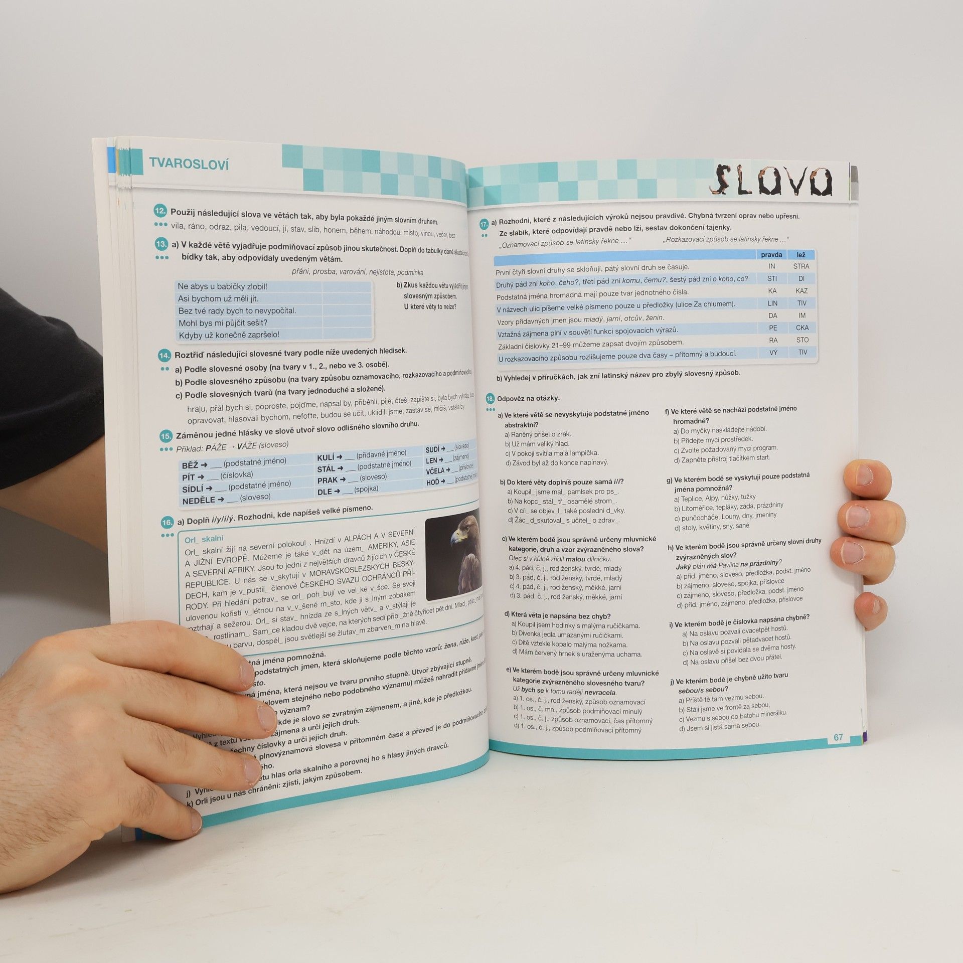 Autorenkollektiv Hravá čeština 6 - učebnice