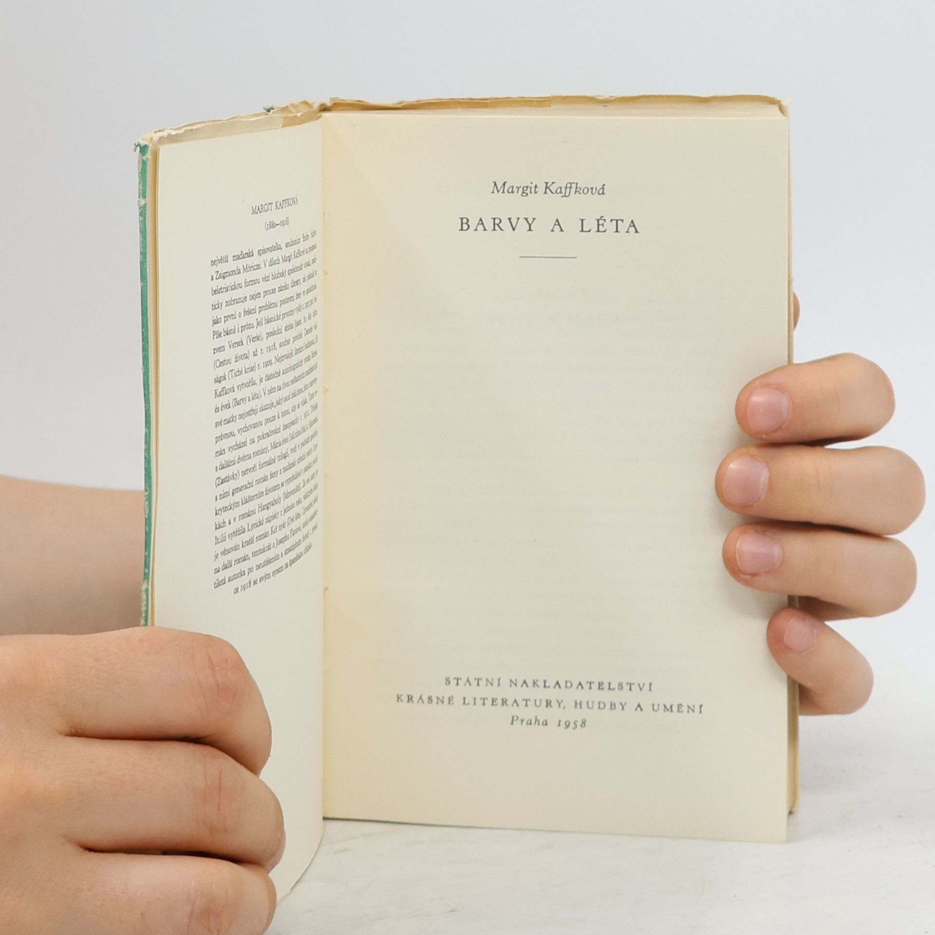 Margit Kaffka Barvy a léta