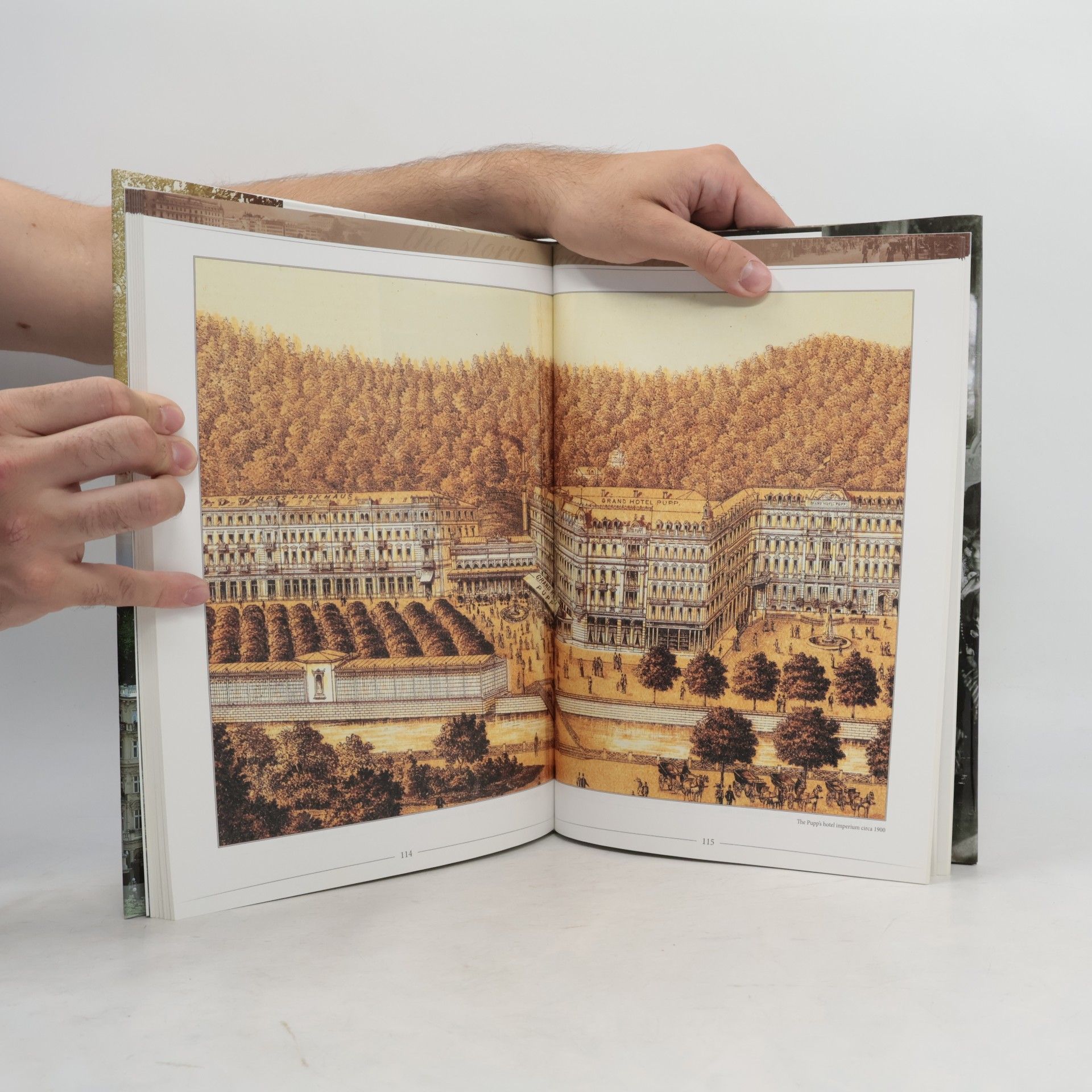 Stanislav Burachovič The Story of the Grandhotel Pupp