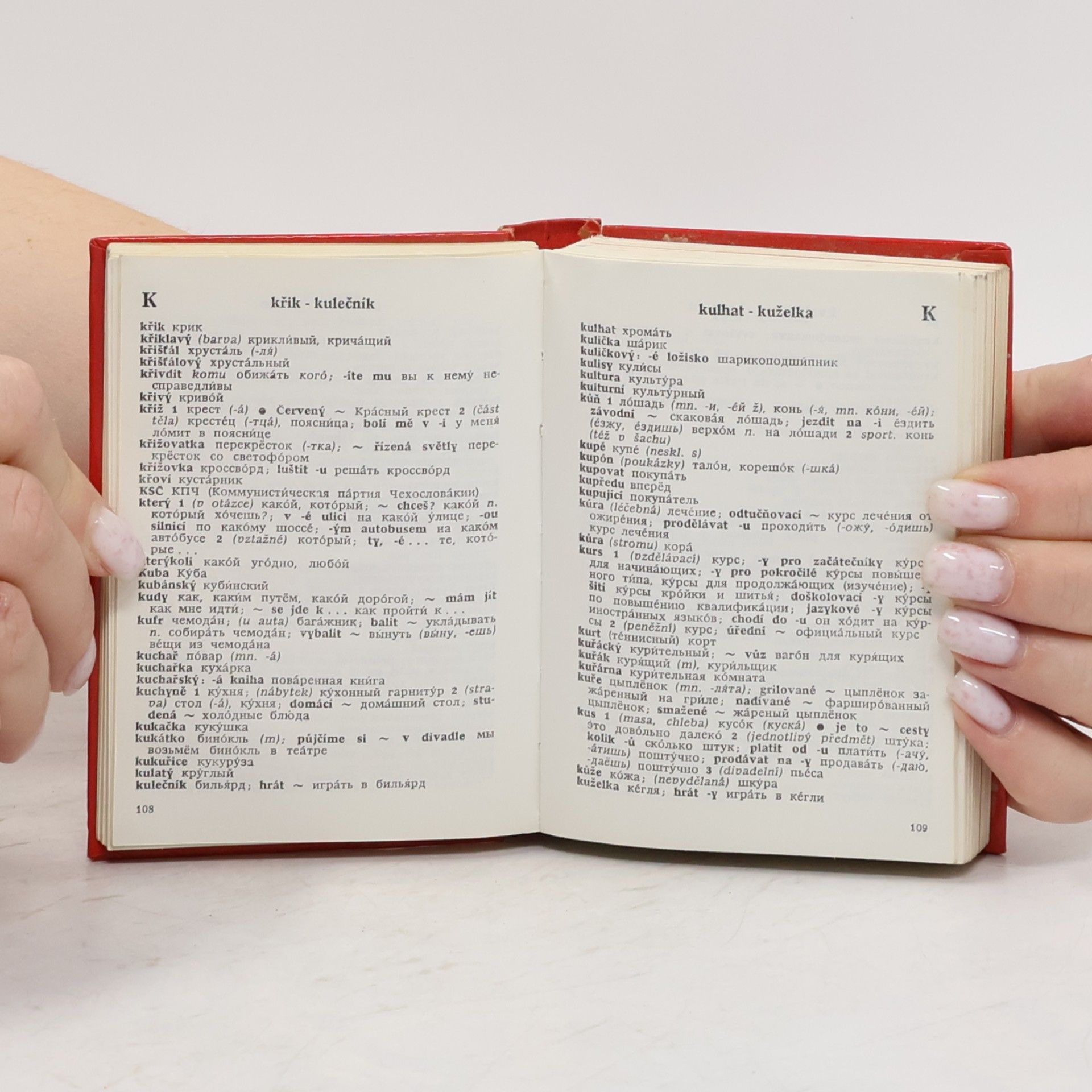 Autores varios Rusko-český a česko-ruský slovník na cesty