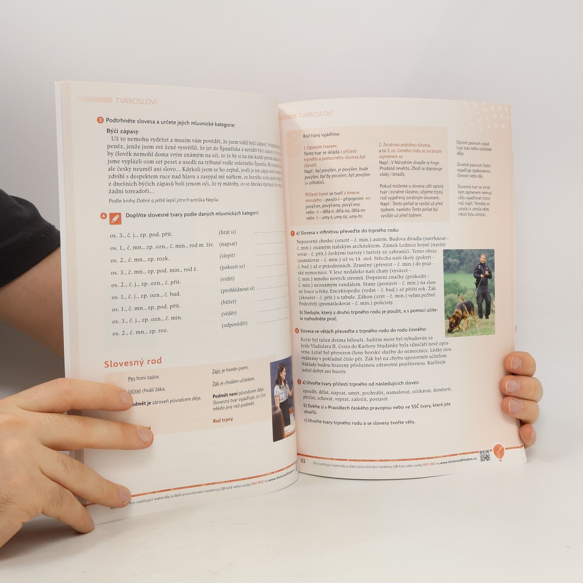 Autores varios Český jazyk 7 : hybridní učebnice pro základní školy a víceletá gymnázia