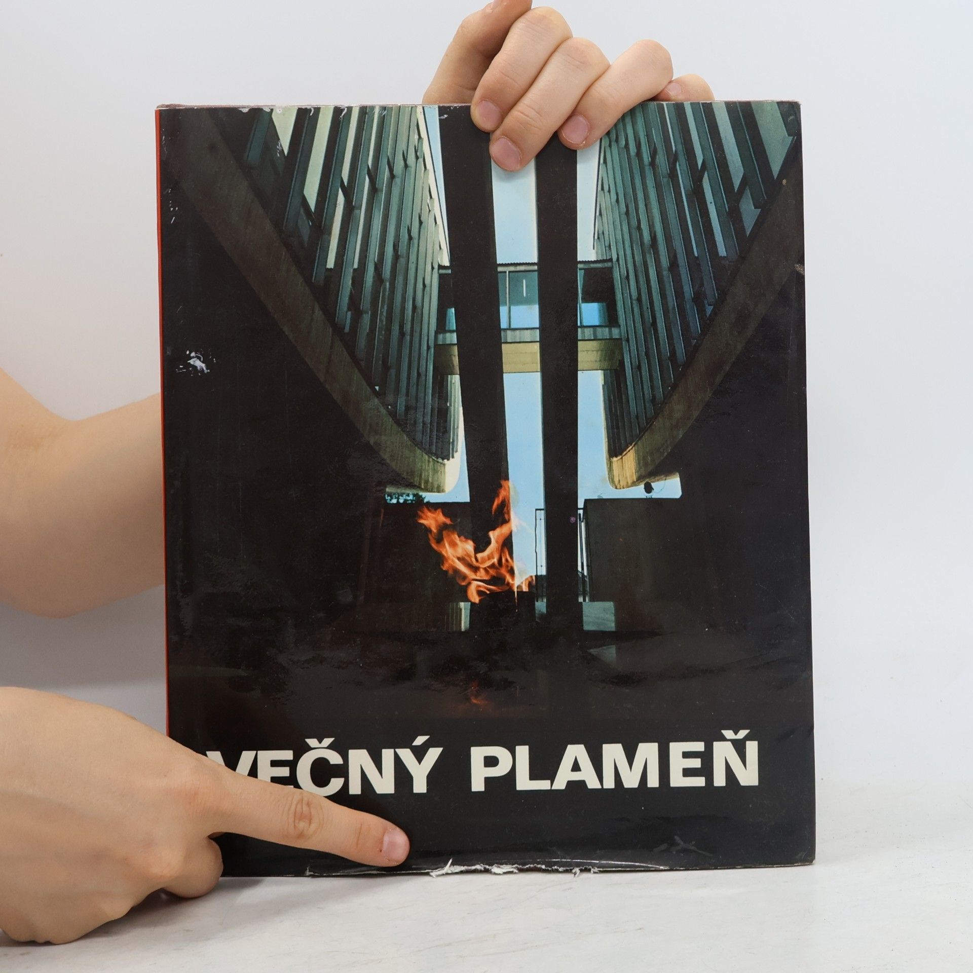 Otakar Nehera Večný plameň