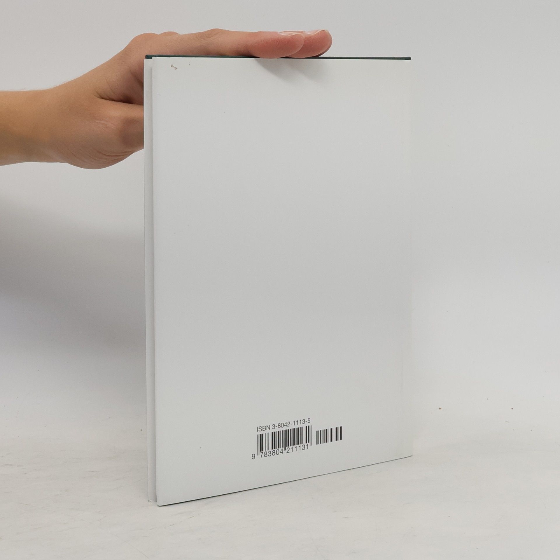 Ortwin Pelc Kleine Schleswig-Holstein-Bücher - 53: Im Schutz von Mauern und Toren