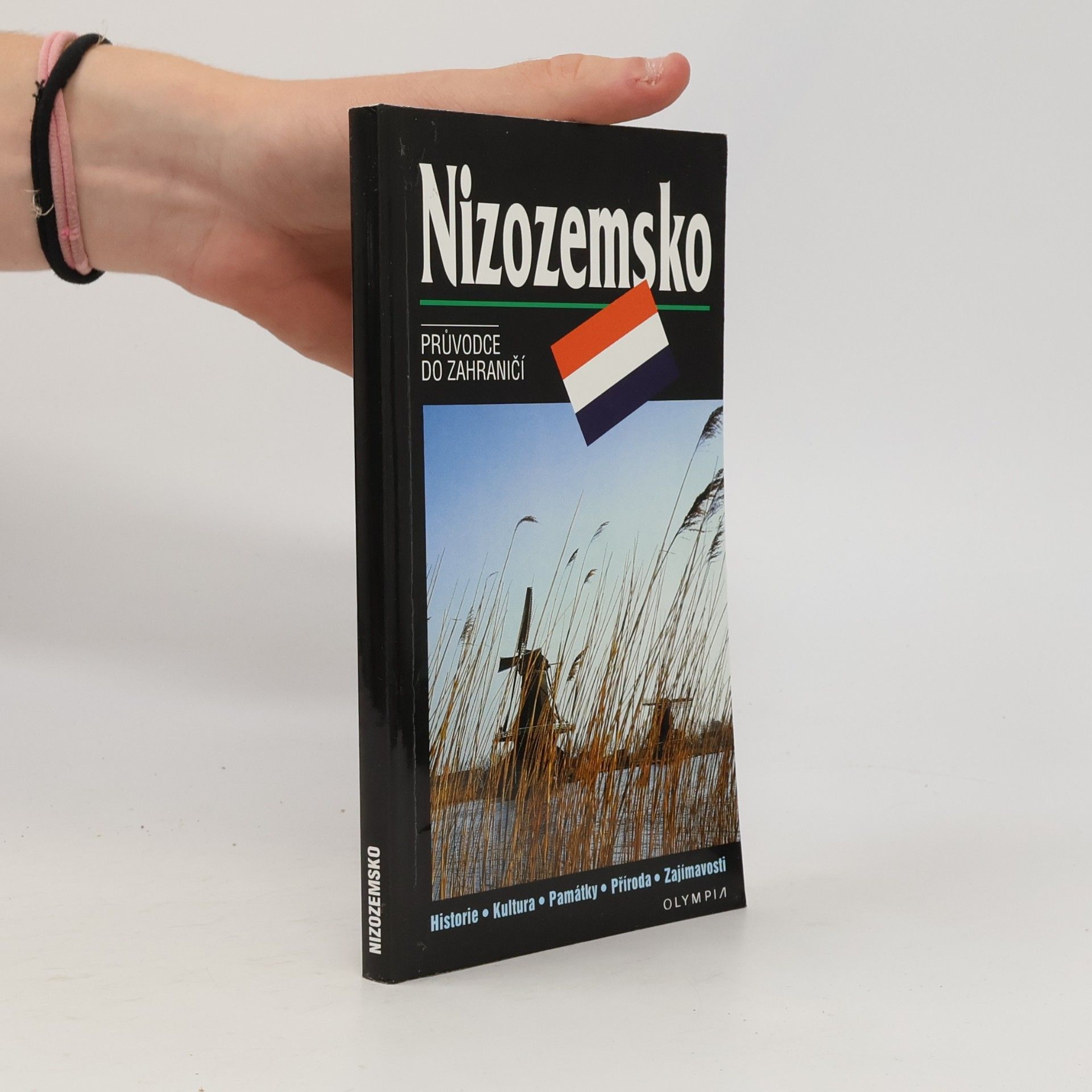 Nizozemsko. Průvodce do zahraničí