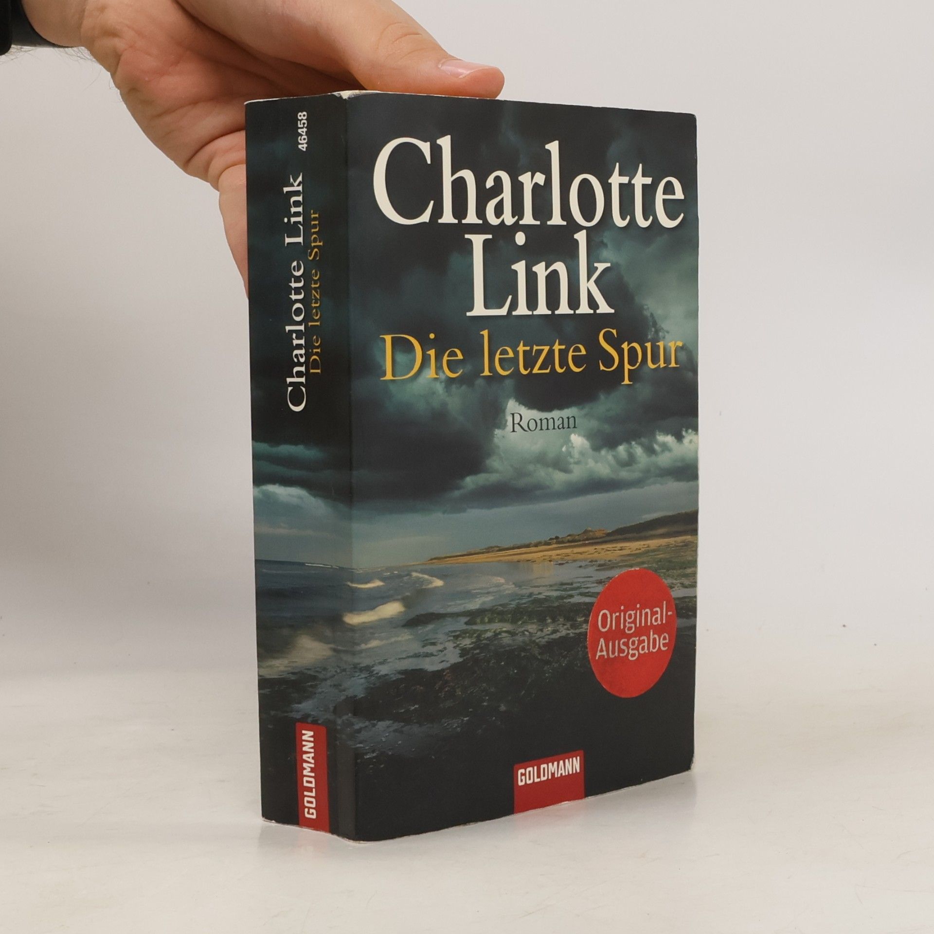 Charlotte Link Die letzte Spur
