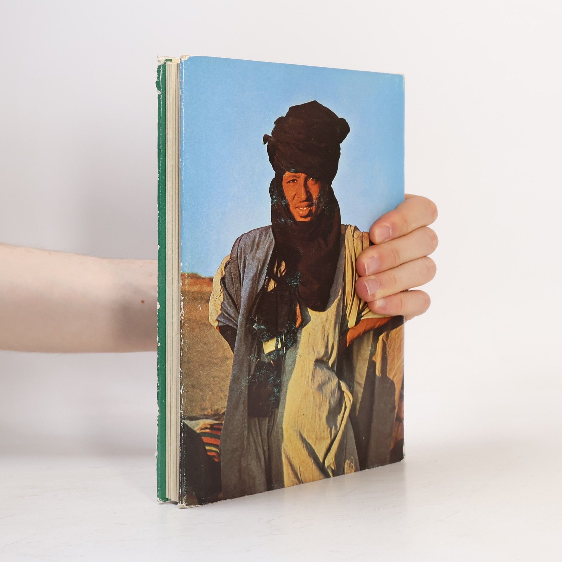 Werner Wrage Ins Herz der Sahara
