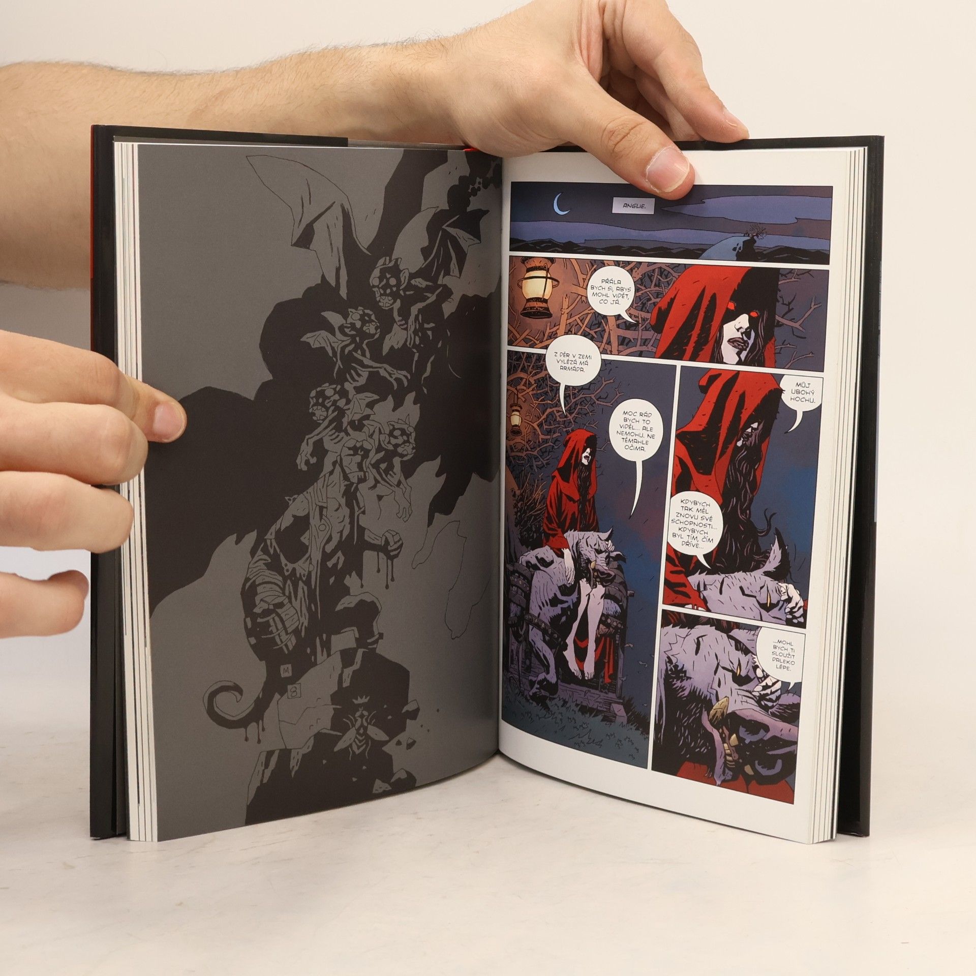 Mike Mignola Divoký hon