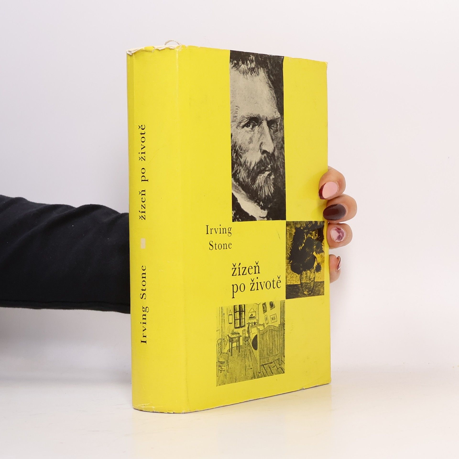 Irving Stone Žízeň po životě