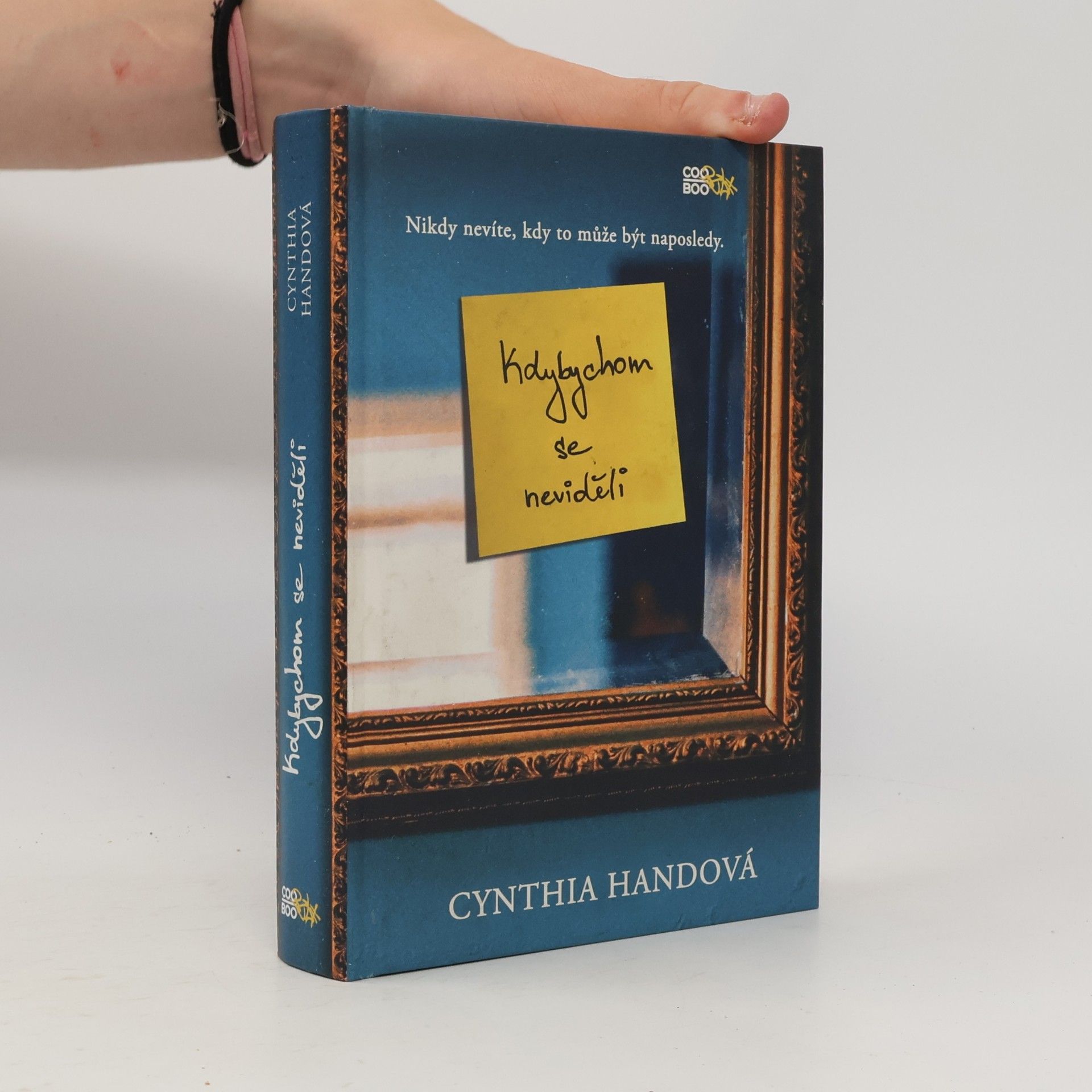 Cynthia Hand Kdybychom se neviděli